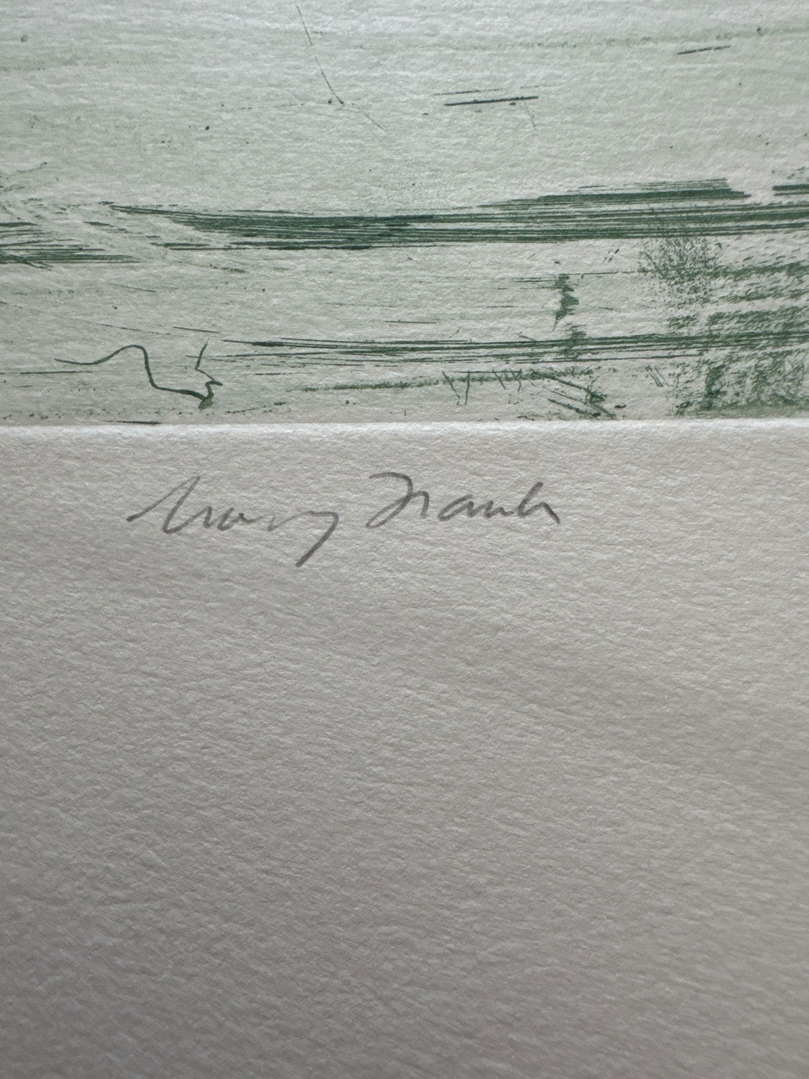 Mary Frank (B.1933) Etching print 1978 signed flower georgia o'keeffe style British-American - 3