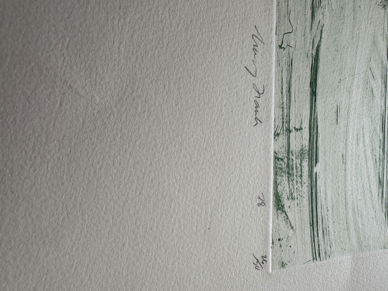 Mary Frank (B.1933) Etching print 1978 signed flower georgia o'keeffe style British-American - 4