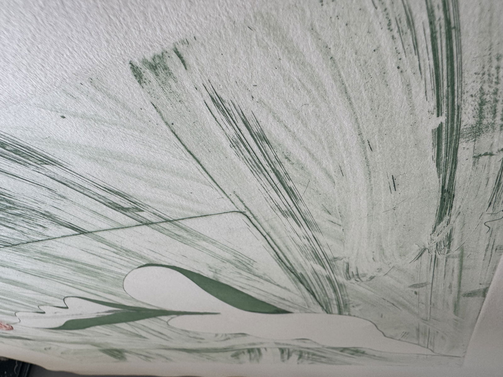 Mary Frank (B.1933) Etching print 1978 signed flower georgia o'keeffe style British-American - 5