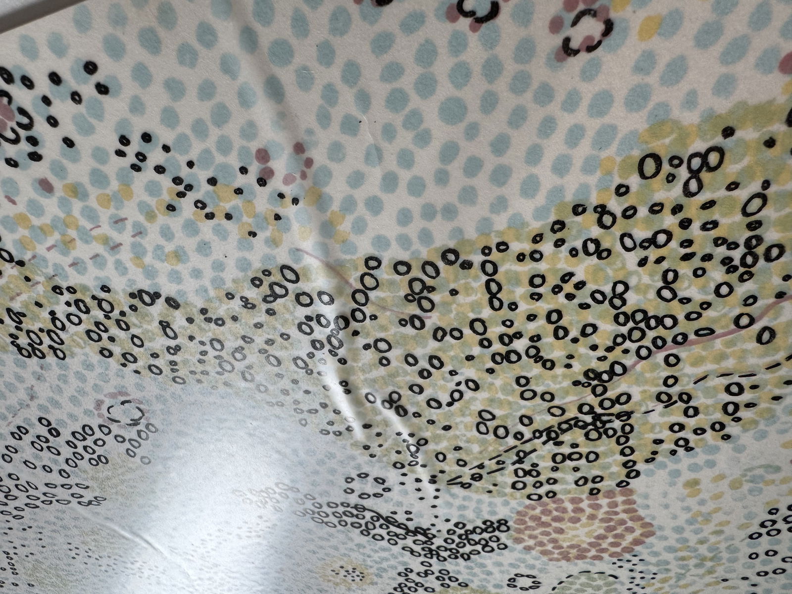 Nancy Graves (1940-1955) 1972 lithograh Postminimalism abstract women listed artist - 2