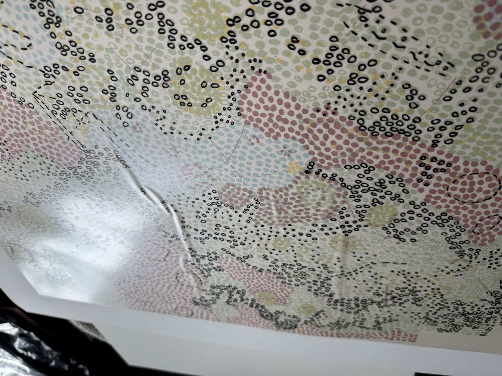 Nancy Graves (1940-1955) 1972 lithograh Postminimalism abstract women listed artist - 3