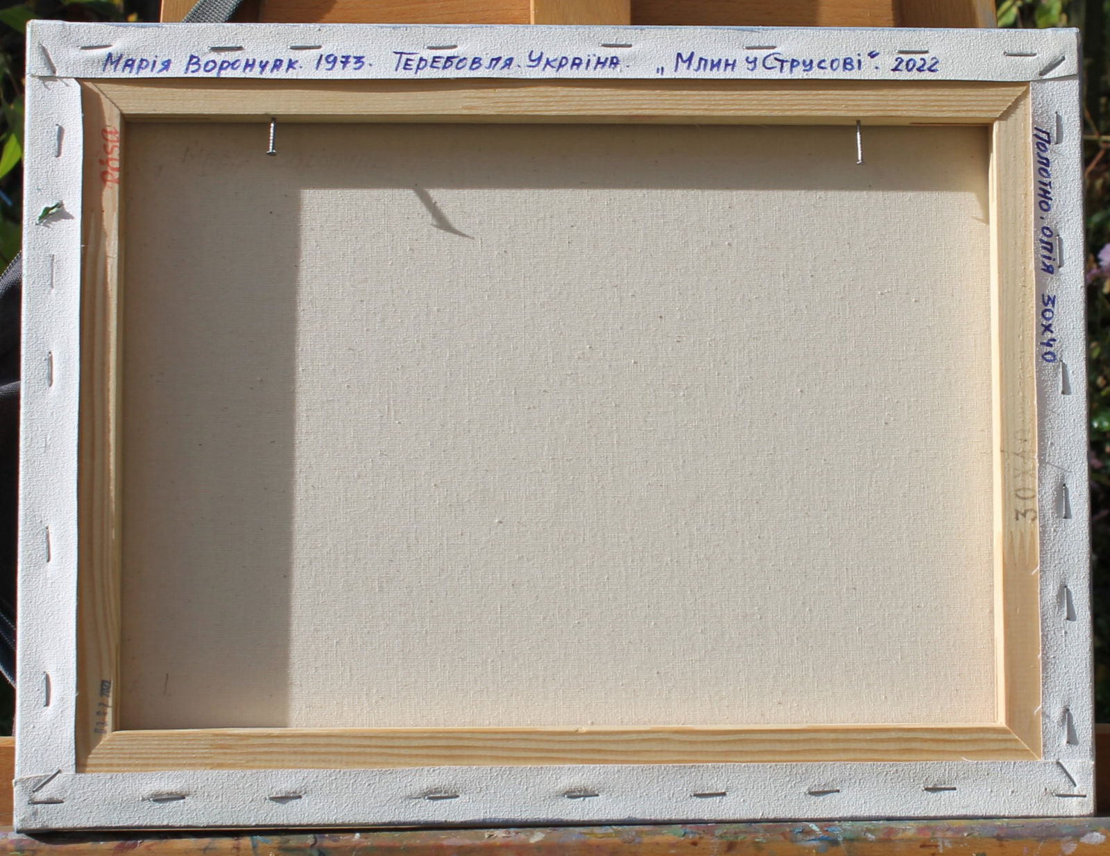 Oil painting The mill in Strusov Maria Voloschak - 10