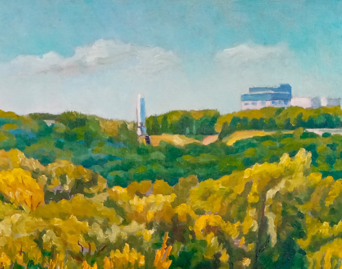 Oil painting Hydropark on the Dnieper. Kyiv Valerii B - 2