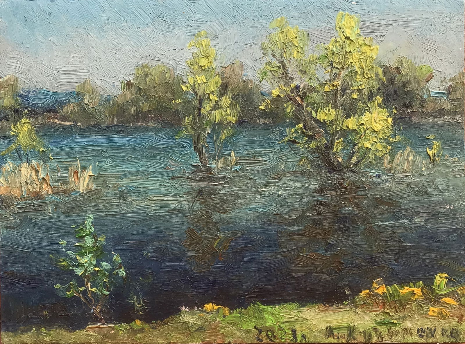Oil painting Flood Leonid Kuzmenko: Title: Oil painting Flood Leonid Kuzmenko Description: 37Kuzm Painter: Leonid Kuzmenko Size: 15x20cm/5,90x7,87 inches Components: oil, cardboard Original painting from our collection ERA: 2023 Short i
