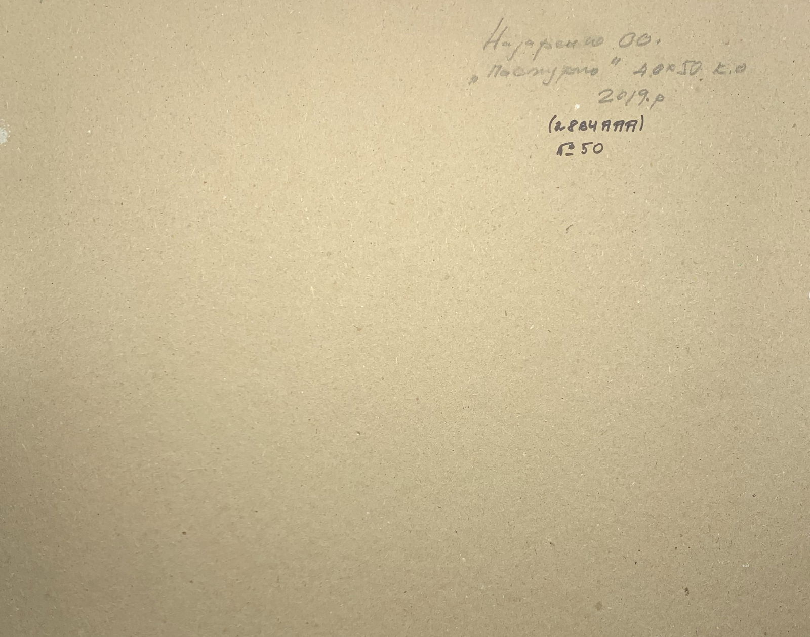 Oil painting Mainly cloudy Oleksandr Oleksandrovich Nazarenko - 3