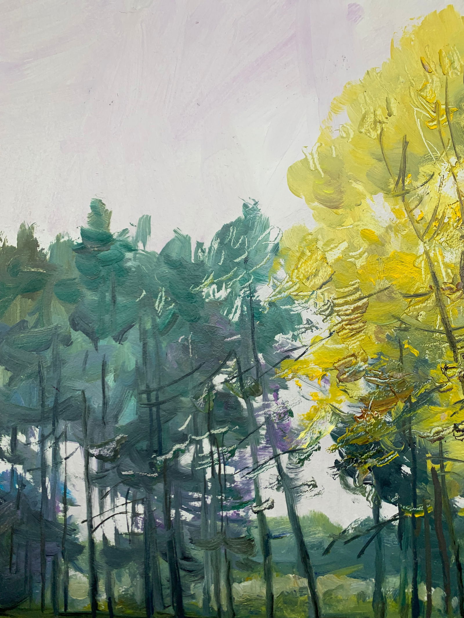 Oil painting Mainly cloudy Oleksandr Oleksandrovich Nazarenko - 4