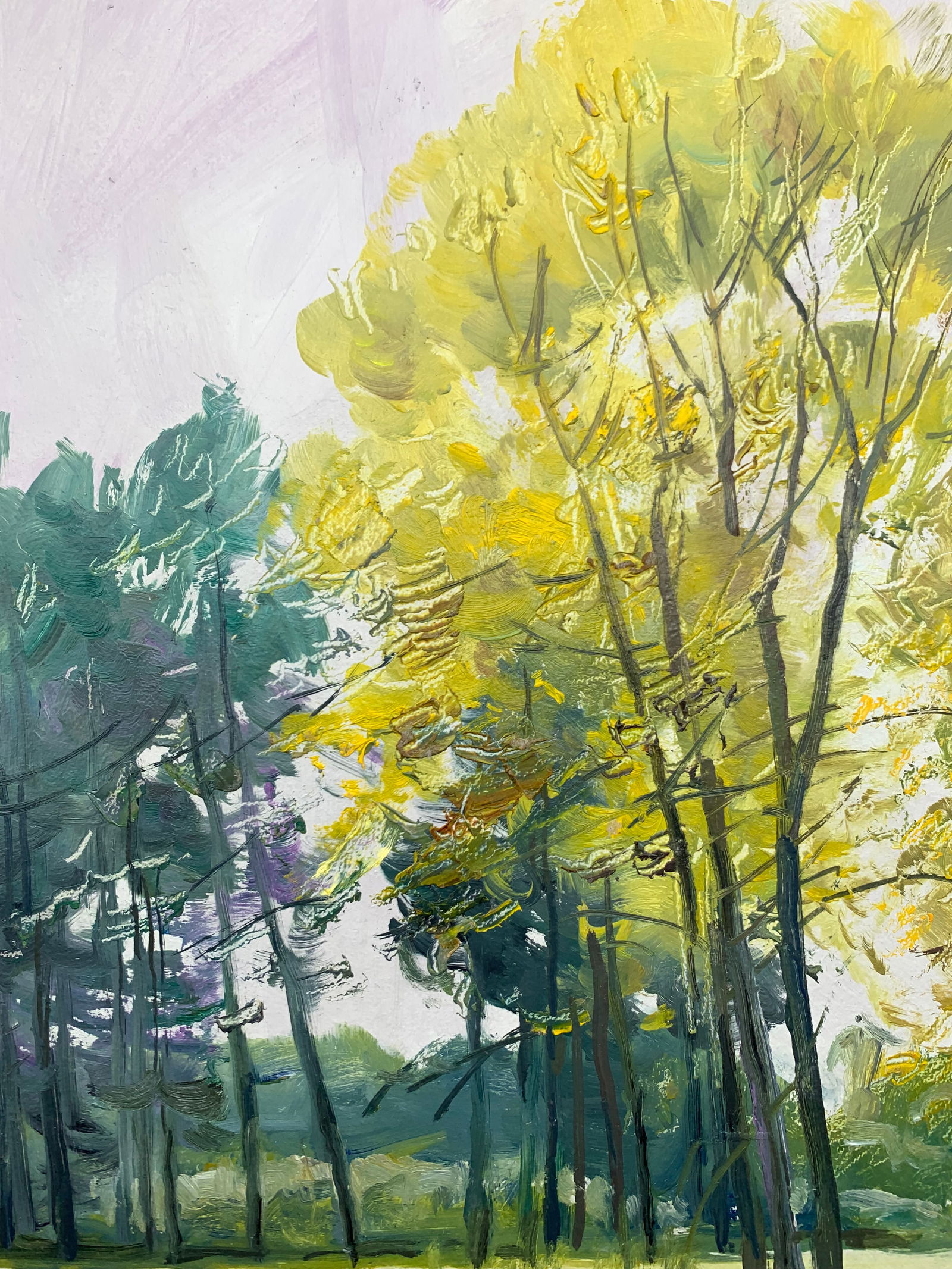 Oil painting Mainly cloudy Oleksandr Oleksandrovich Nazarenko - 6