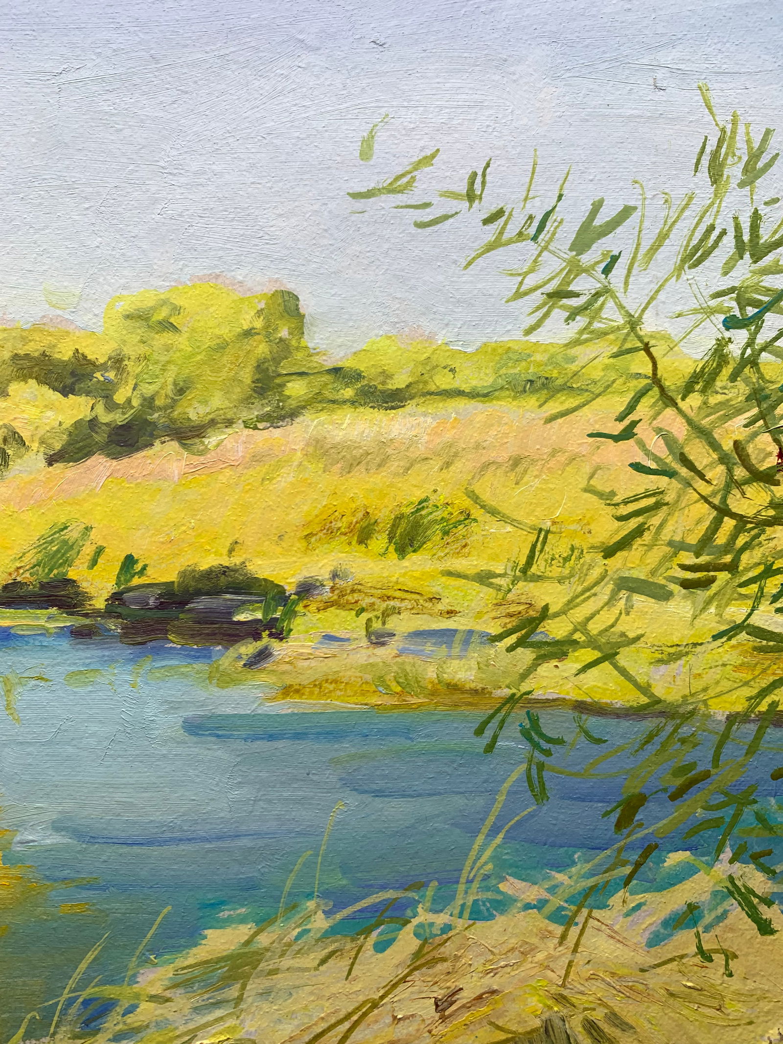 Oil painting Uday River Oleksandr Oleksandrovich Nazarenko - 10