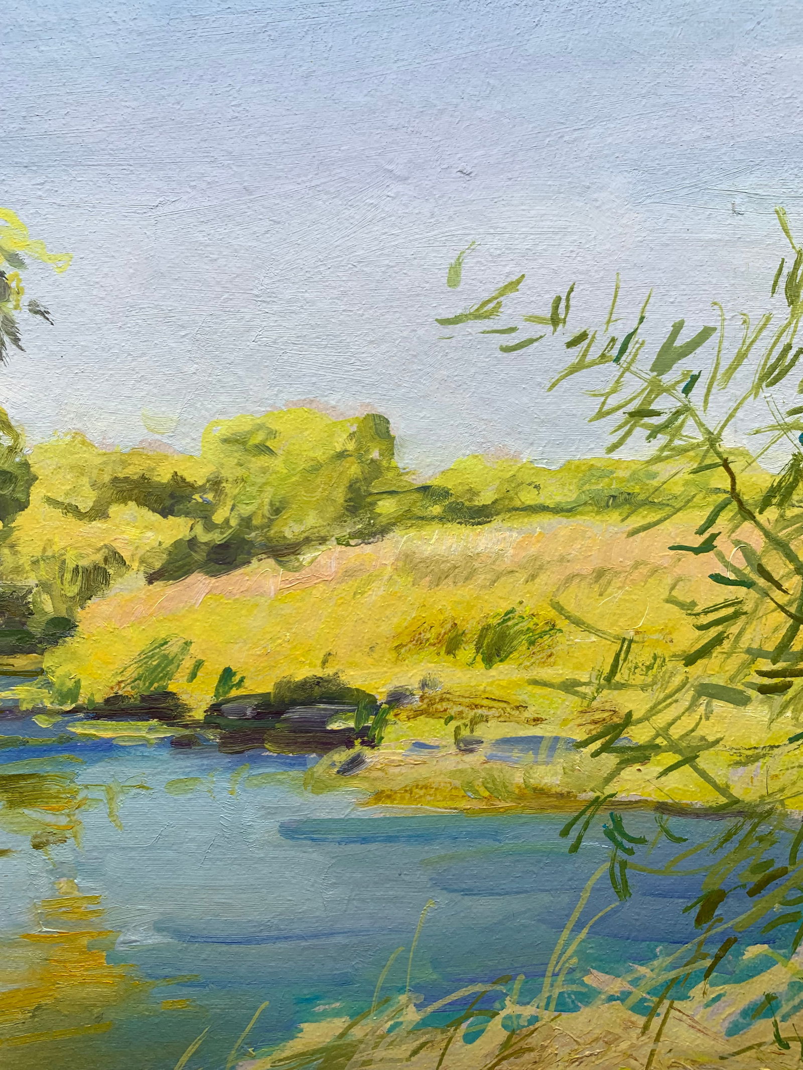 Oil painting Uday River Oleksandr Oleksandrovich Nazarenko - 7