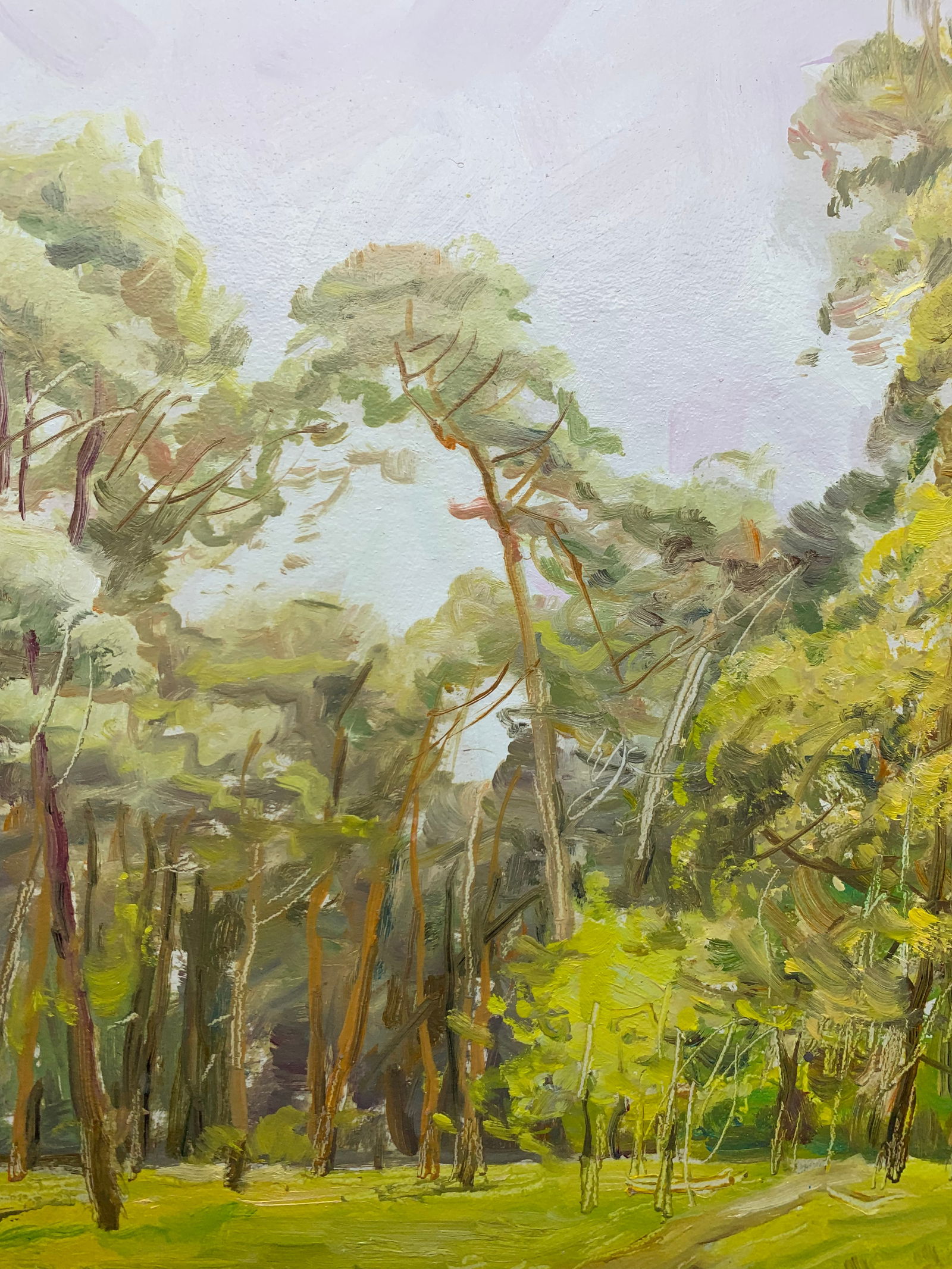 Oil painting For mushrooms Oleksandr Oleksandrovich Nazarenko - 3