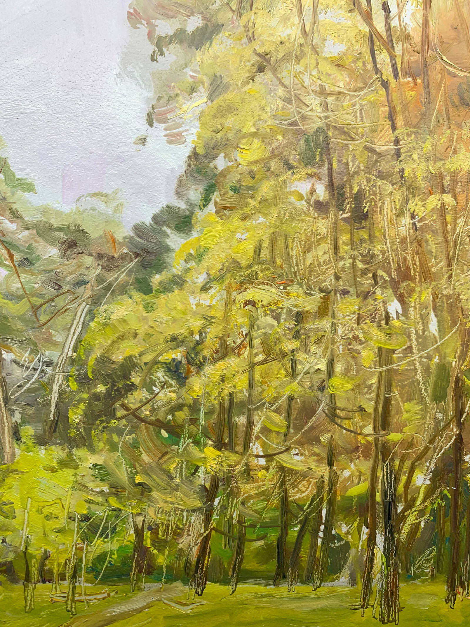 Oil painting For mushrooms Oleksandr Oleksandrovich Nazarenko - 7