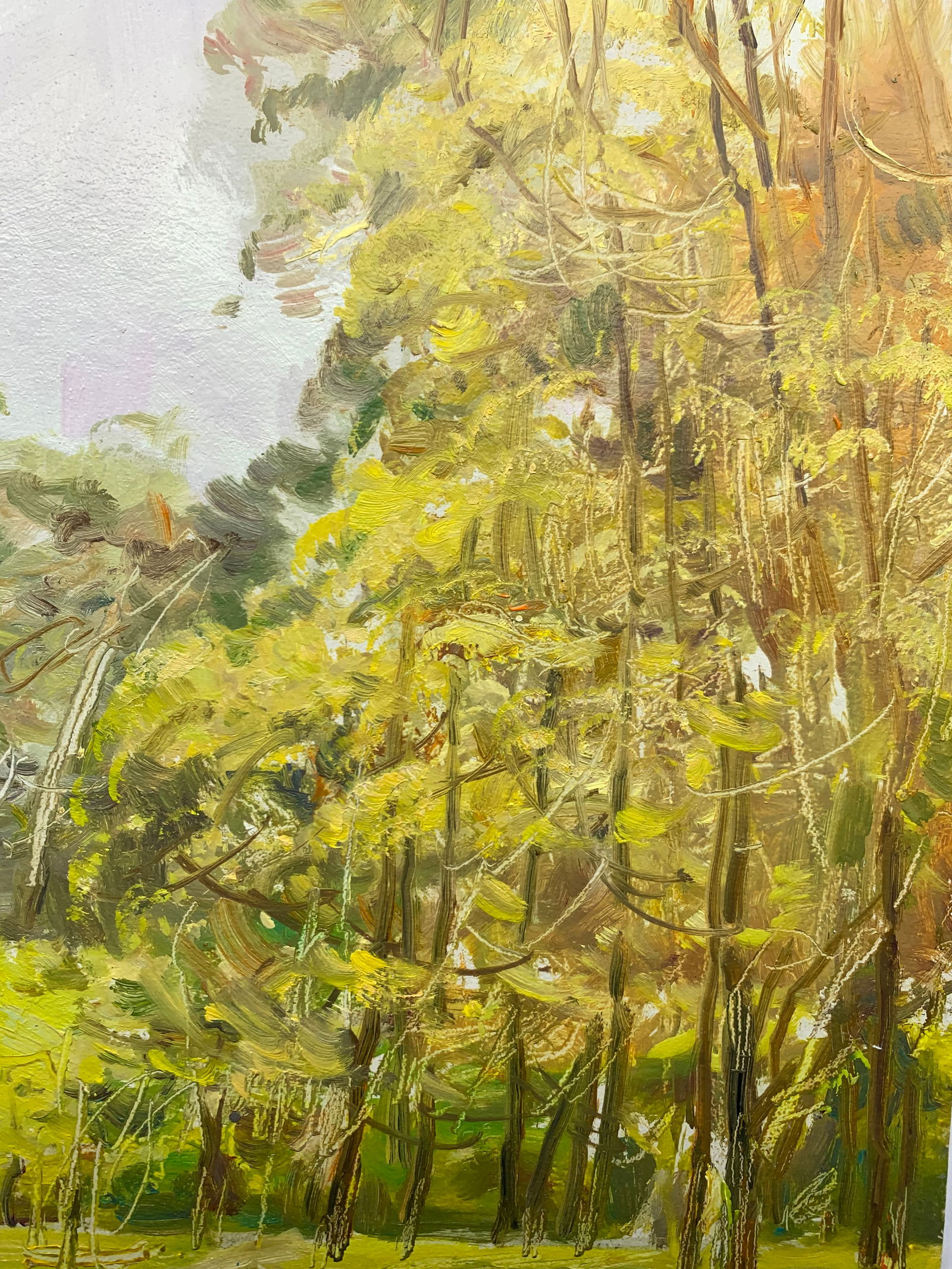 Oil painting For mushrooms Oleksandr Oleksandrovich Nazarenko - 8