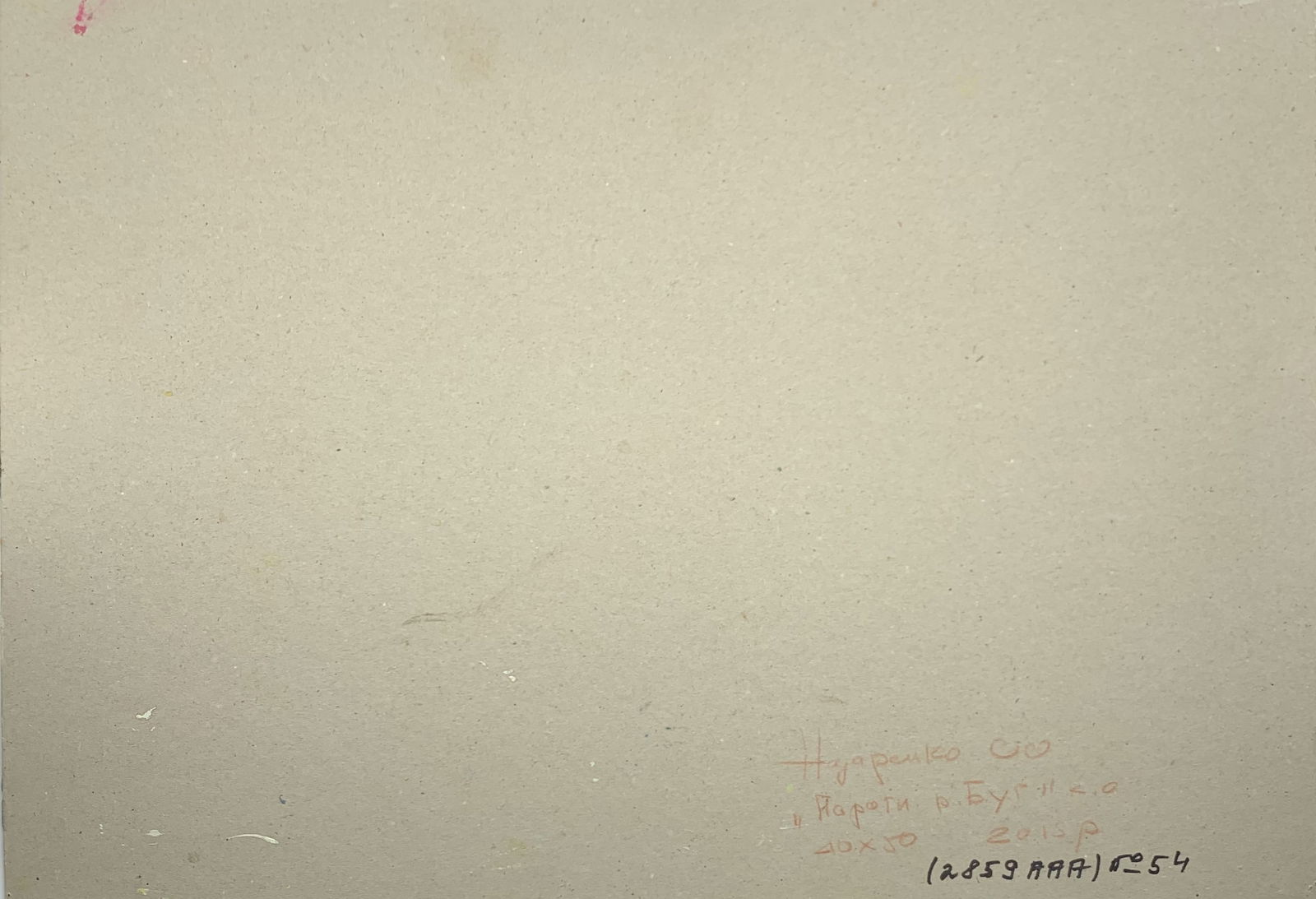 Oil painting Rapids on the Bug River Oleksandr Oleksandrovich Nazarenko - 2