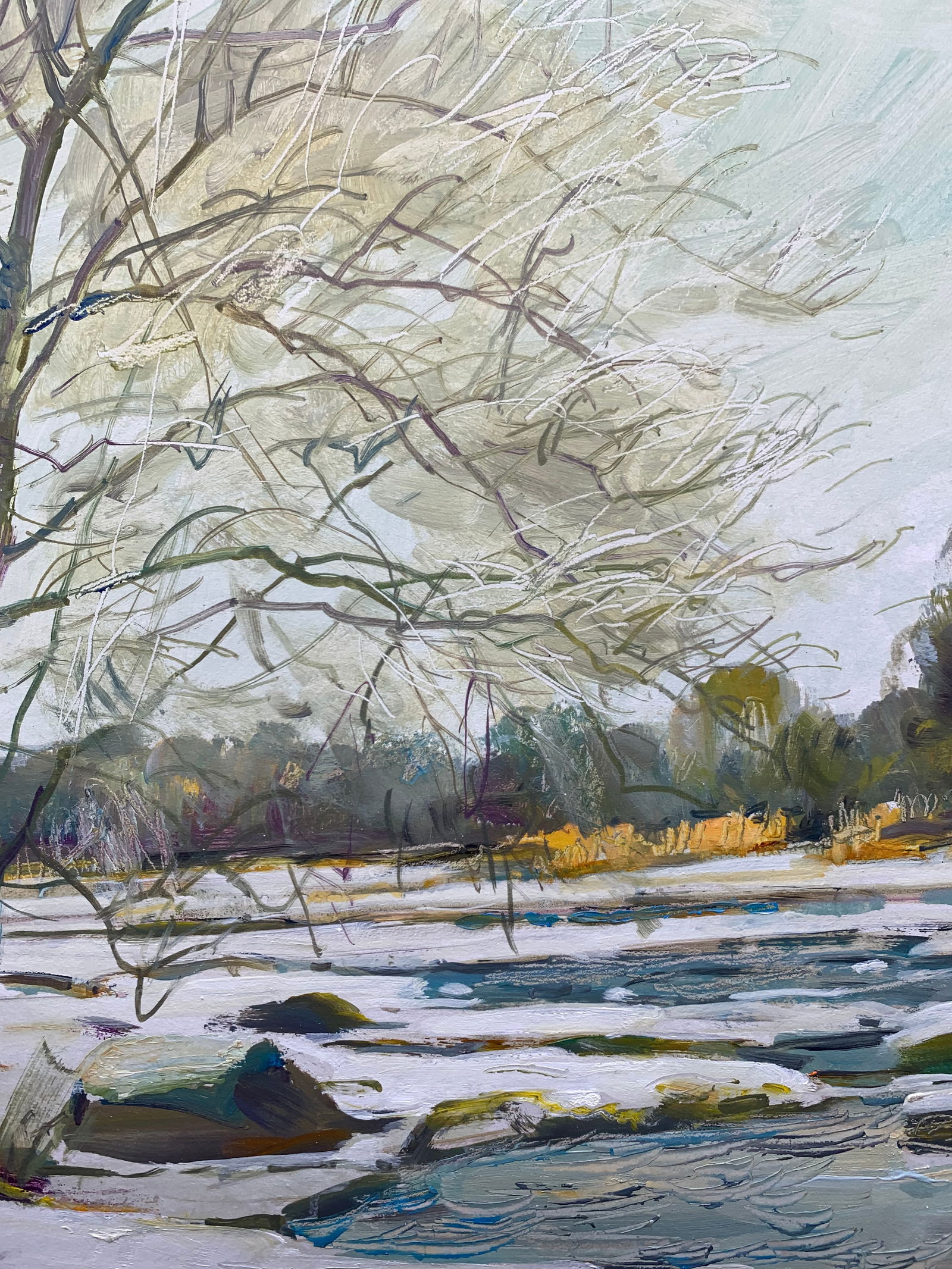 Oil painting Rapids on the Bug River Oleksandr Oleksandrovich Nazarenko - 5