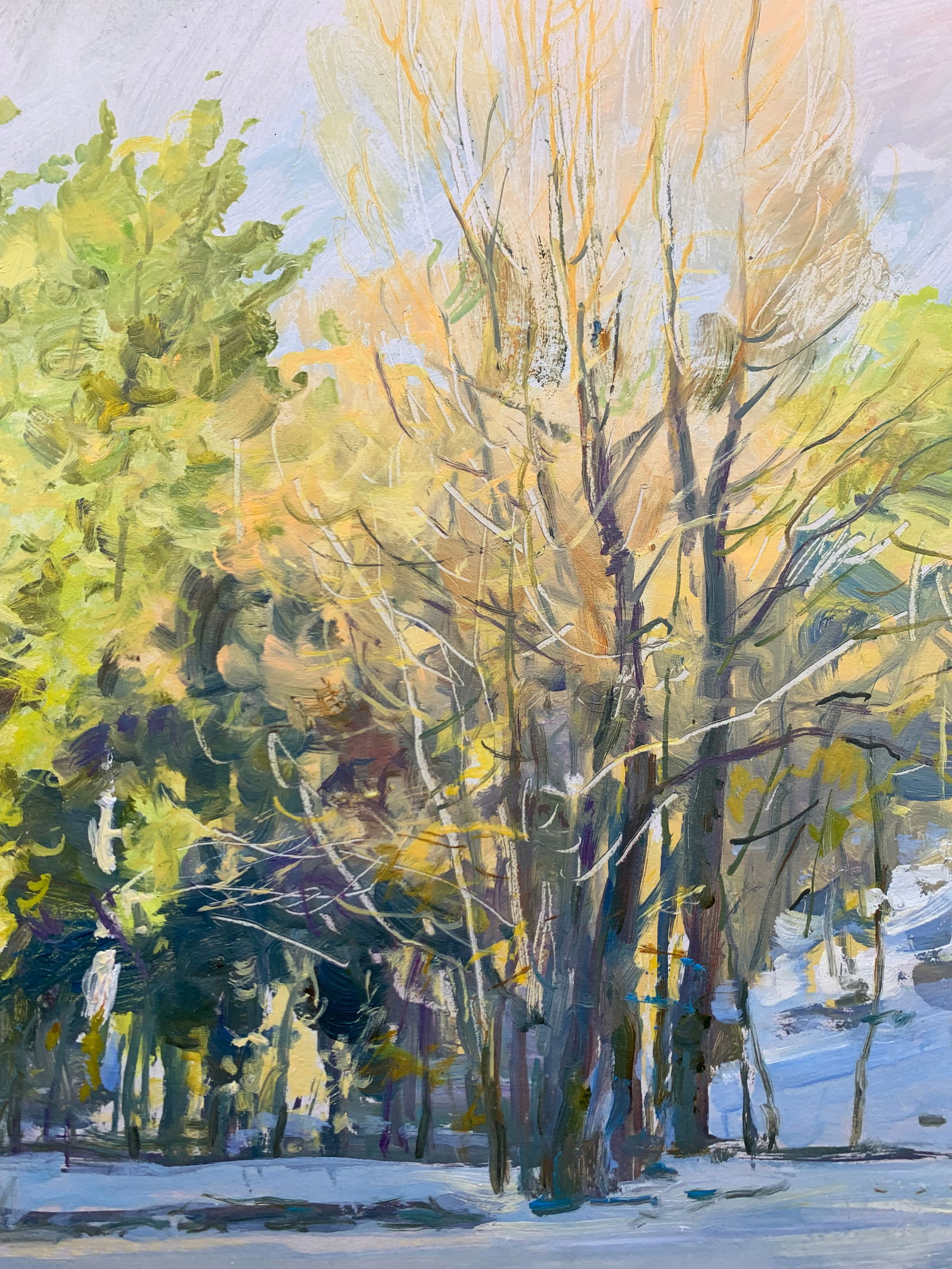 Oil painting Freezing day Oleksandr Oleksandrovich Nazarenko - 6