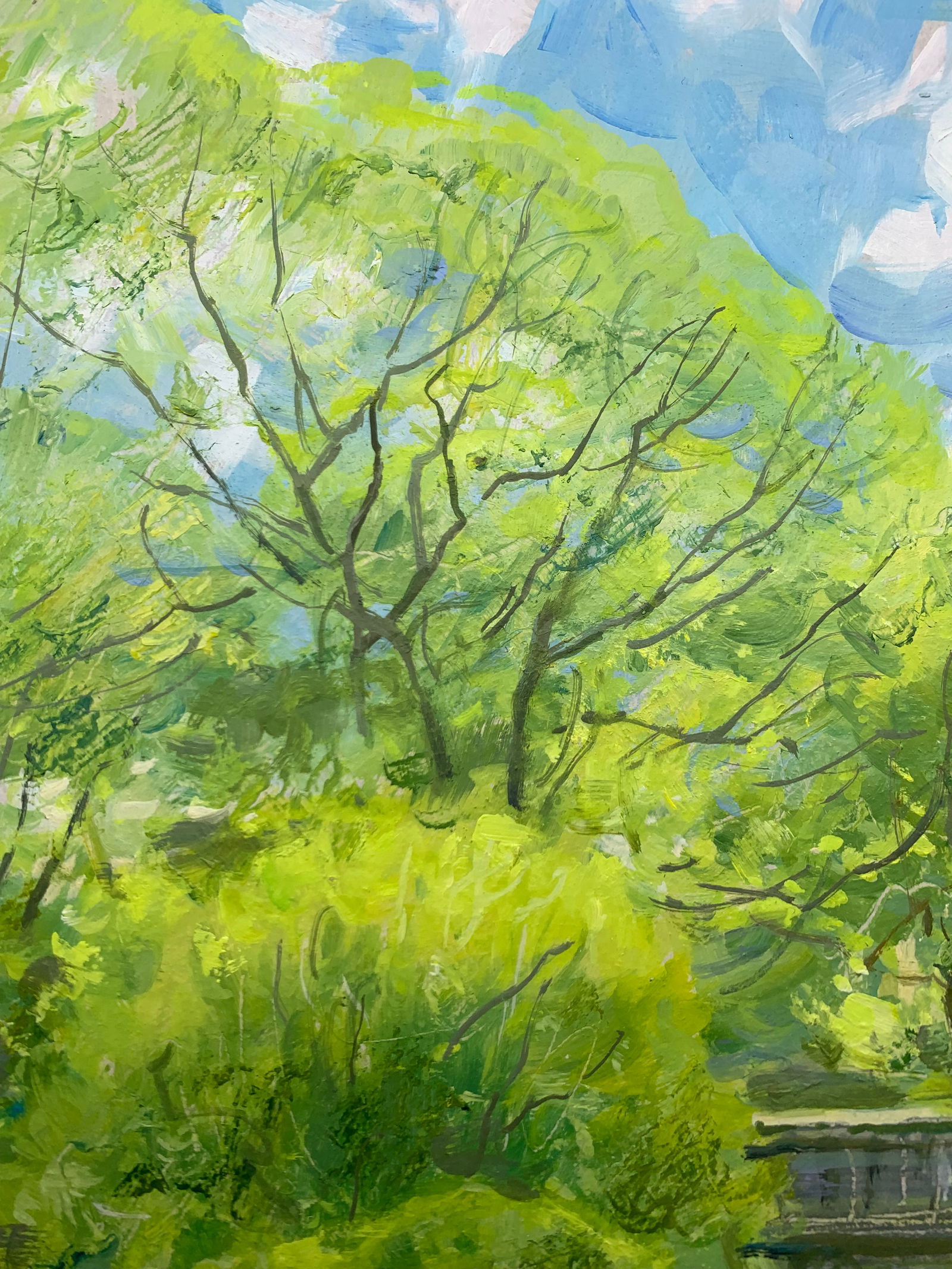 Oil painting May Oleksandr Oleksandrovich Nazarenko - 3