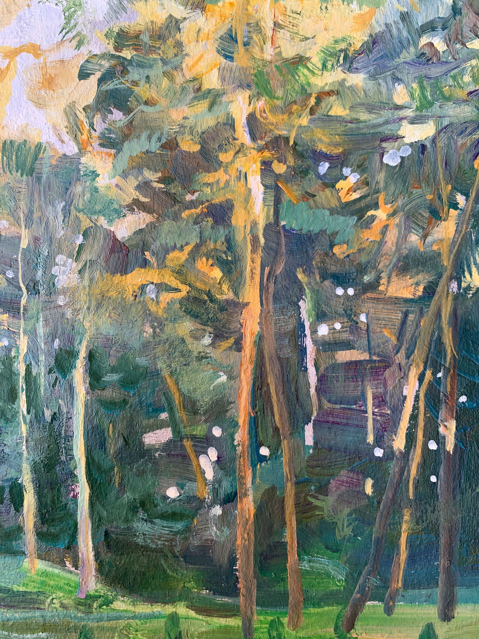 Oil painting In the forest Oleksandr Oleksandrovich Nazarenko - 11