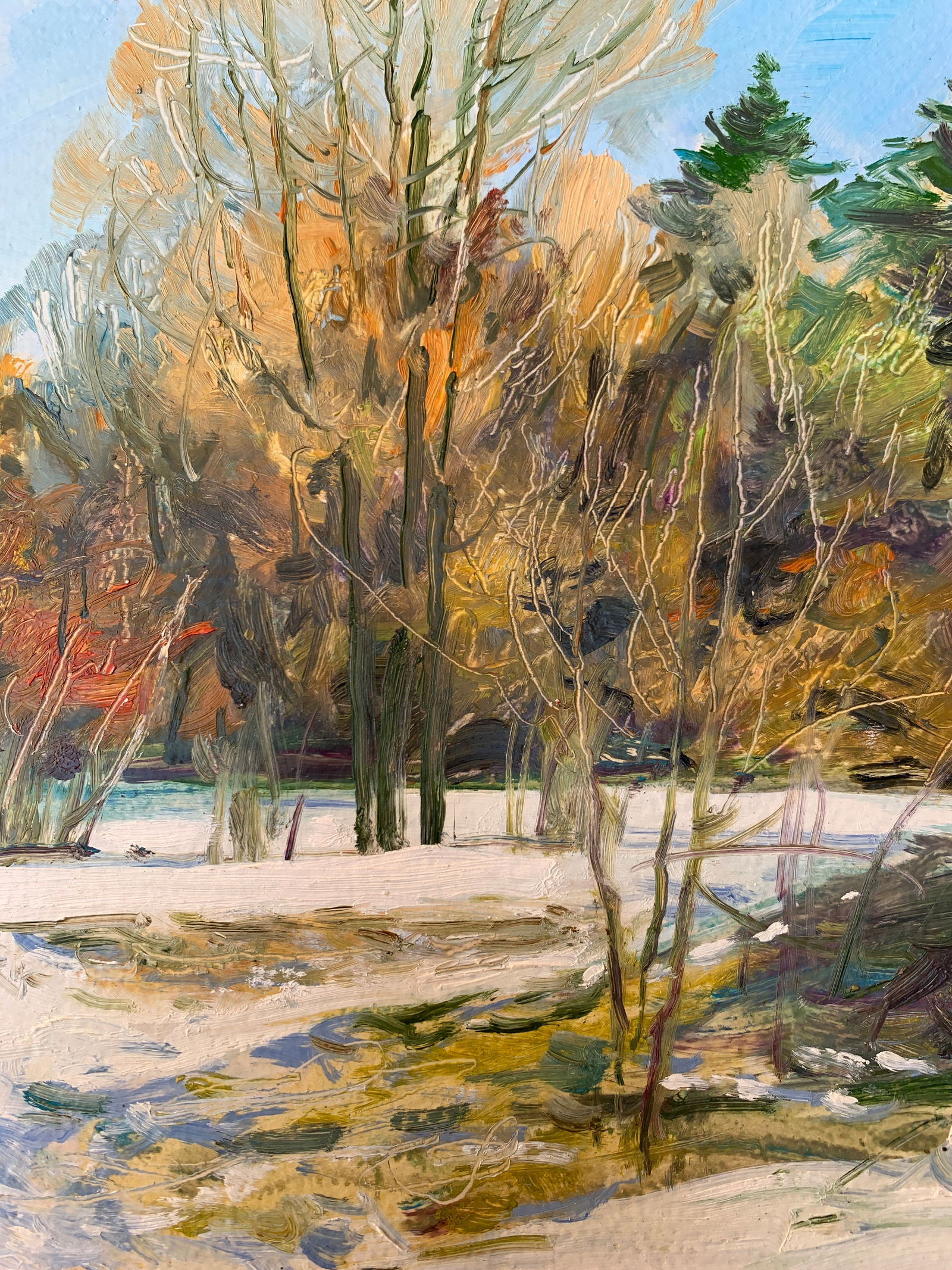 Oil painting Winter Oleksandr Oleksandrovich Nazarenko - 10