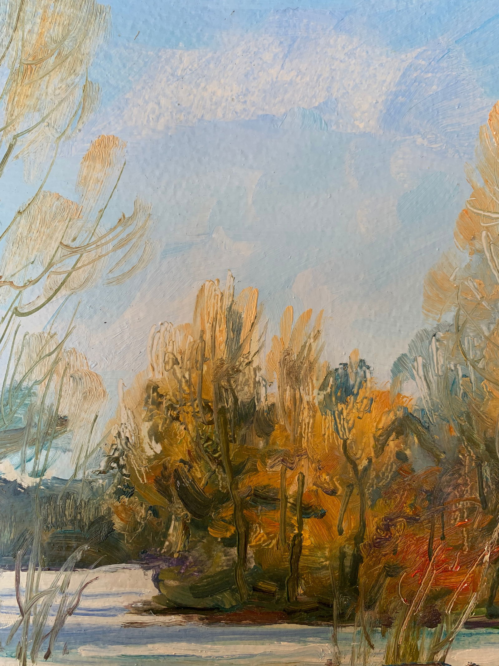 Oil painting Winter Oleksandr Oleksandrovich Nazarenko - 4