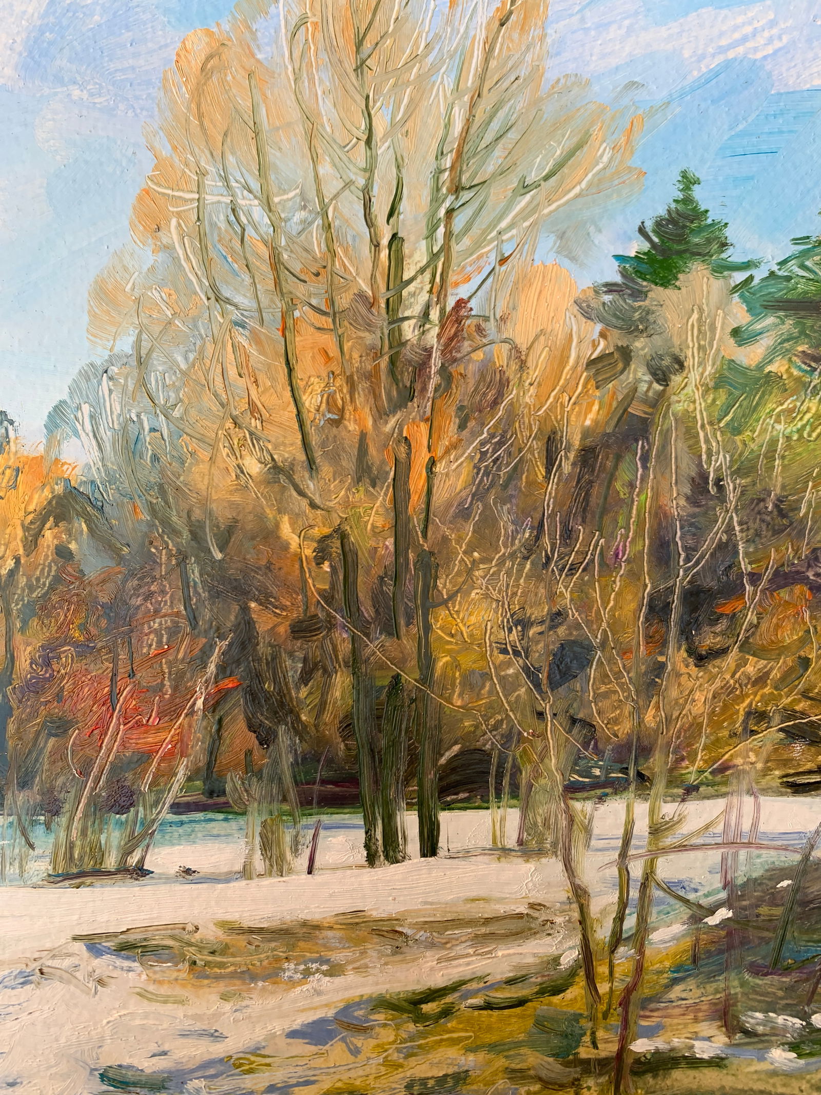 Oil painting Winter Oleksandr Oleksandrovich Nazarenko - 8