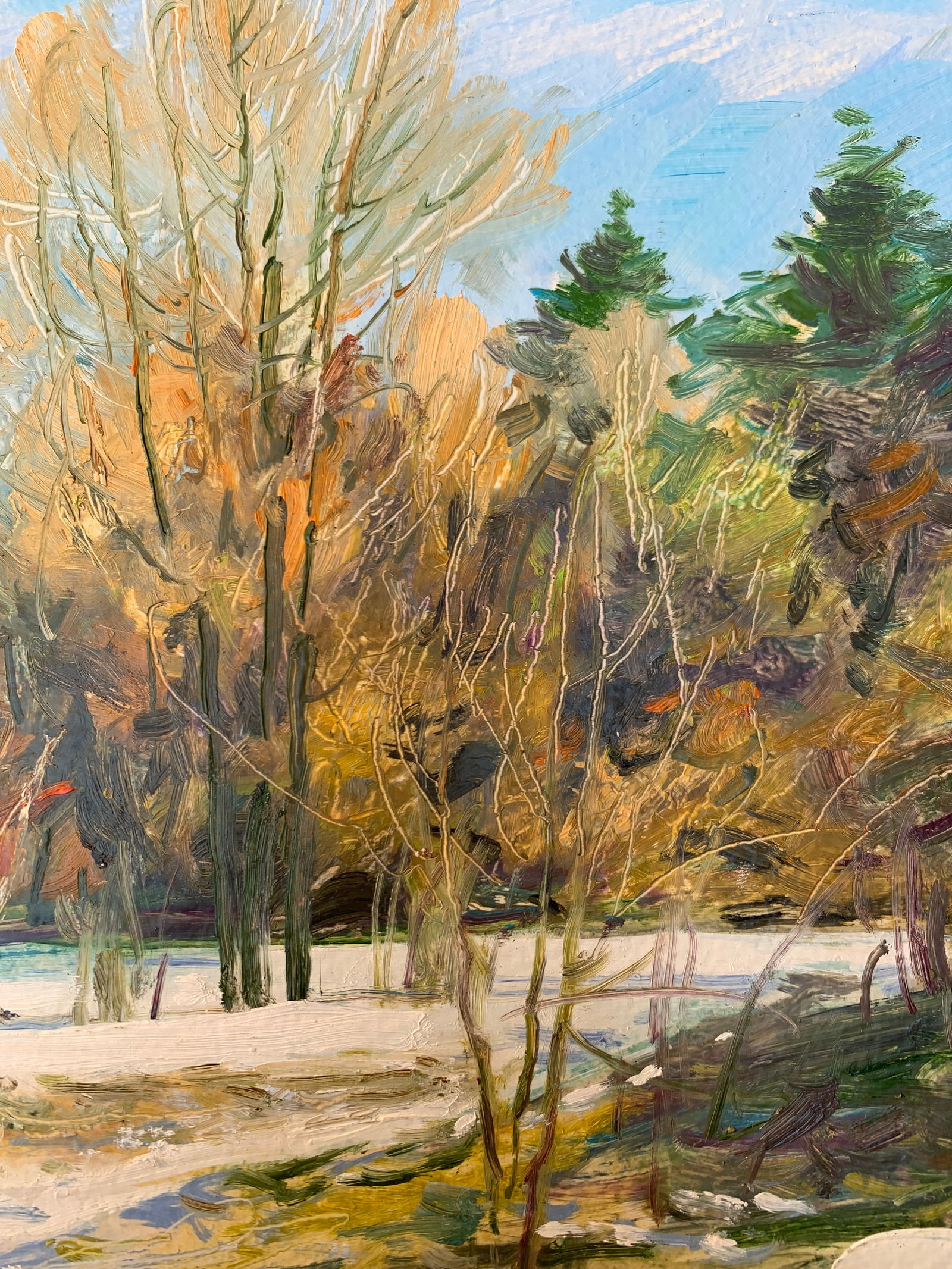 Oil painting Winter Oleksandr Oleksandrovich Nazarenko - 9