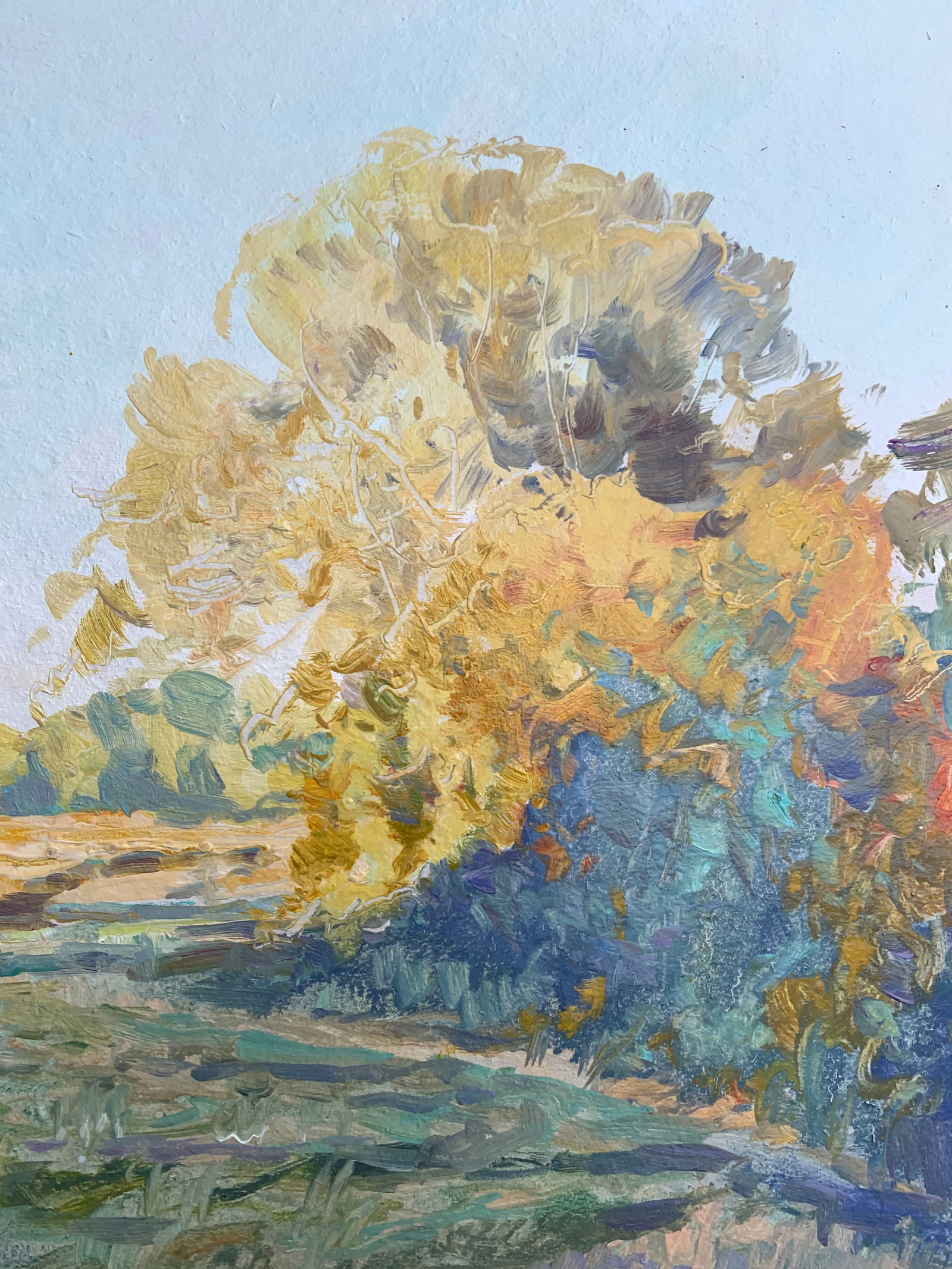 Oil painting Evening Oleksandr Oleksandrovich Nazarenko - 9