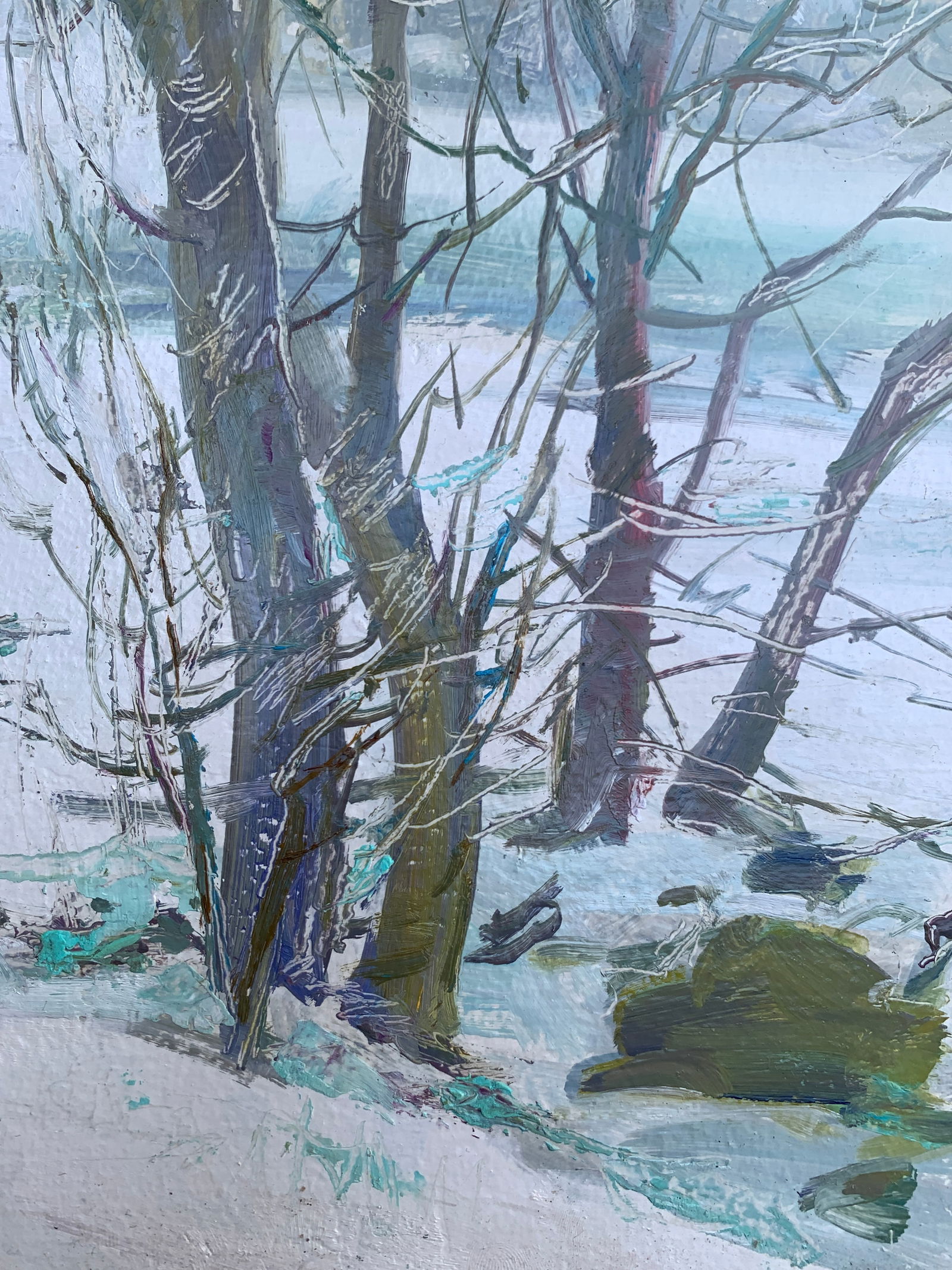 Oil painting Winter forest Oleksandr Oleksandrovich Nazarenko - 10