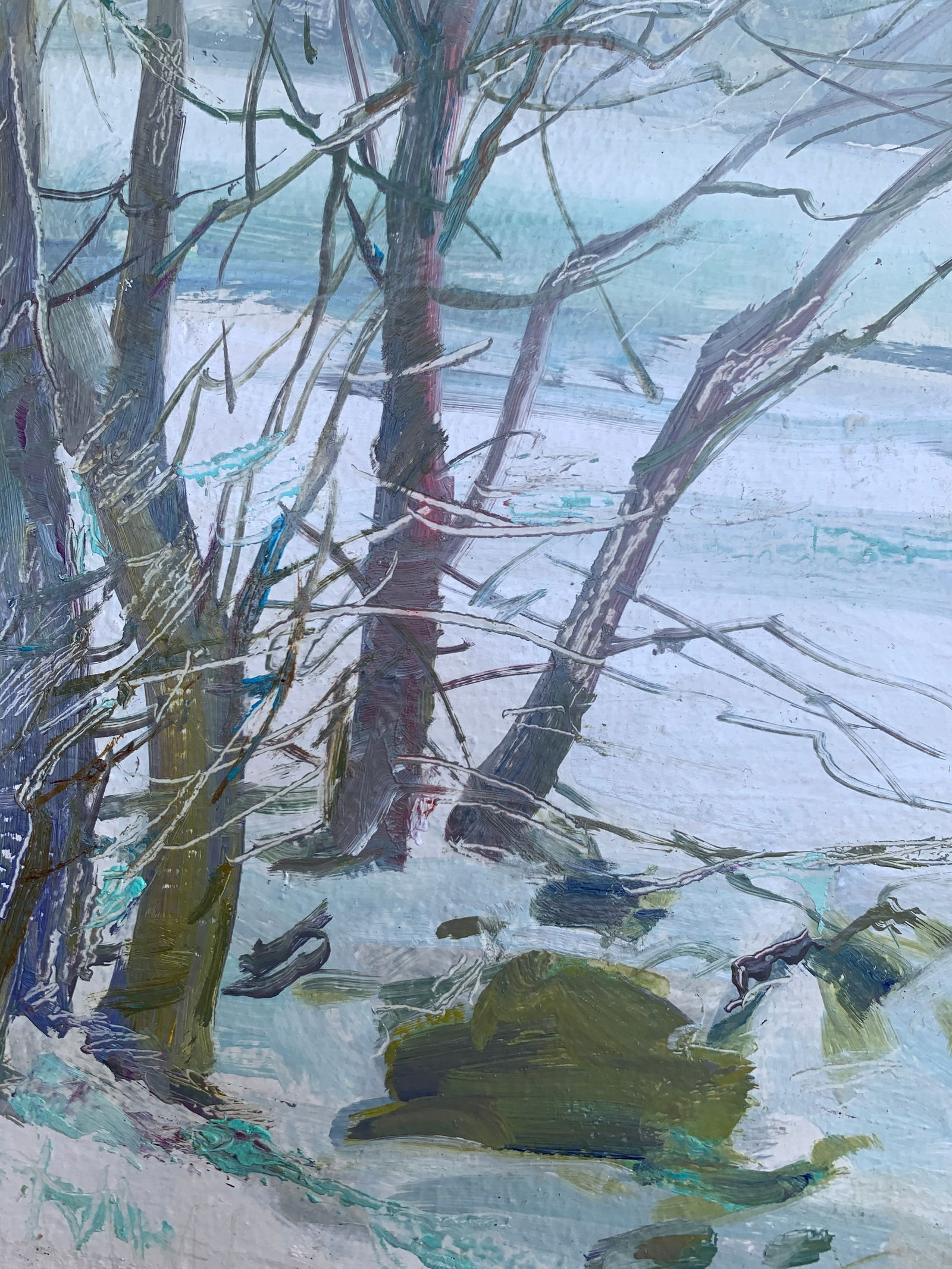 Oil painting Winter forest Oleksandr Oleksandrovich Nazarenko - 11