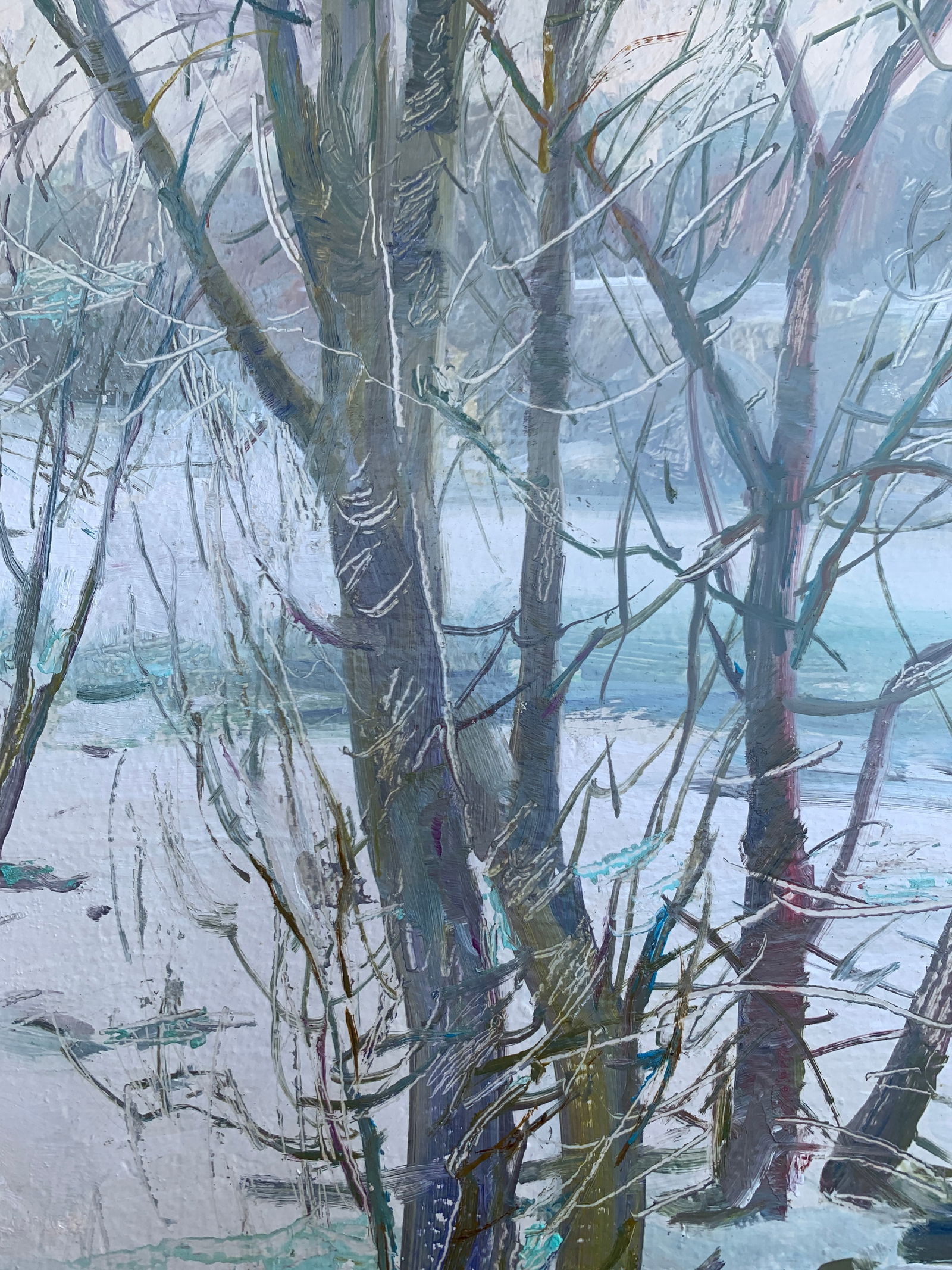 Oil painting Winter forest Oleksandr Oleksandrovich Nazarenko - 8