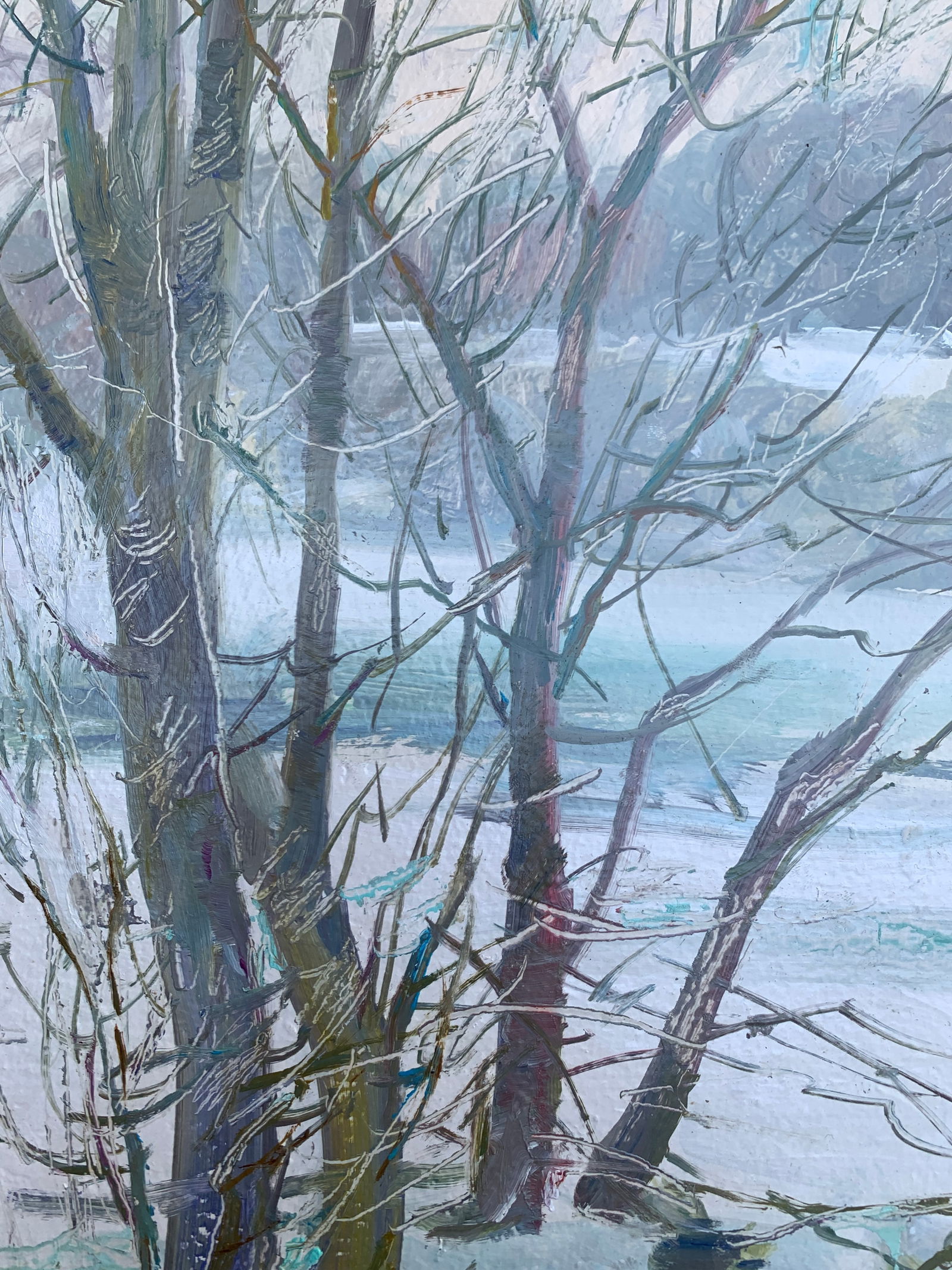 Oil painting Winter forest Oleksandr Oleksandrovich Nazarenko - 9