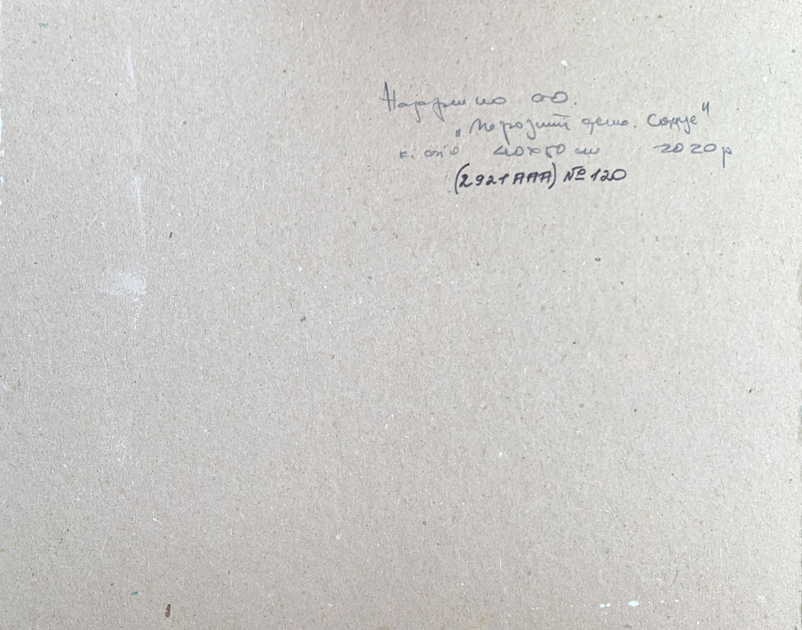 Oil painting A frosty day. Sun Oleksandr Oleksandrovich Nazarenko - 2