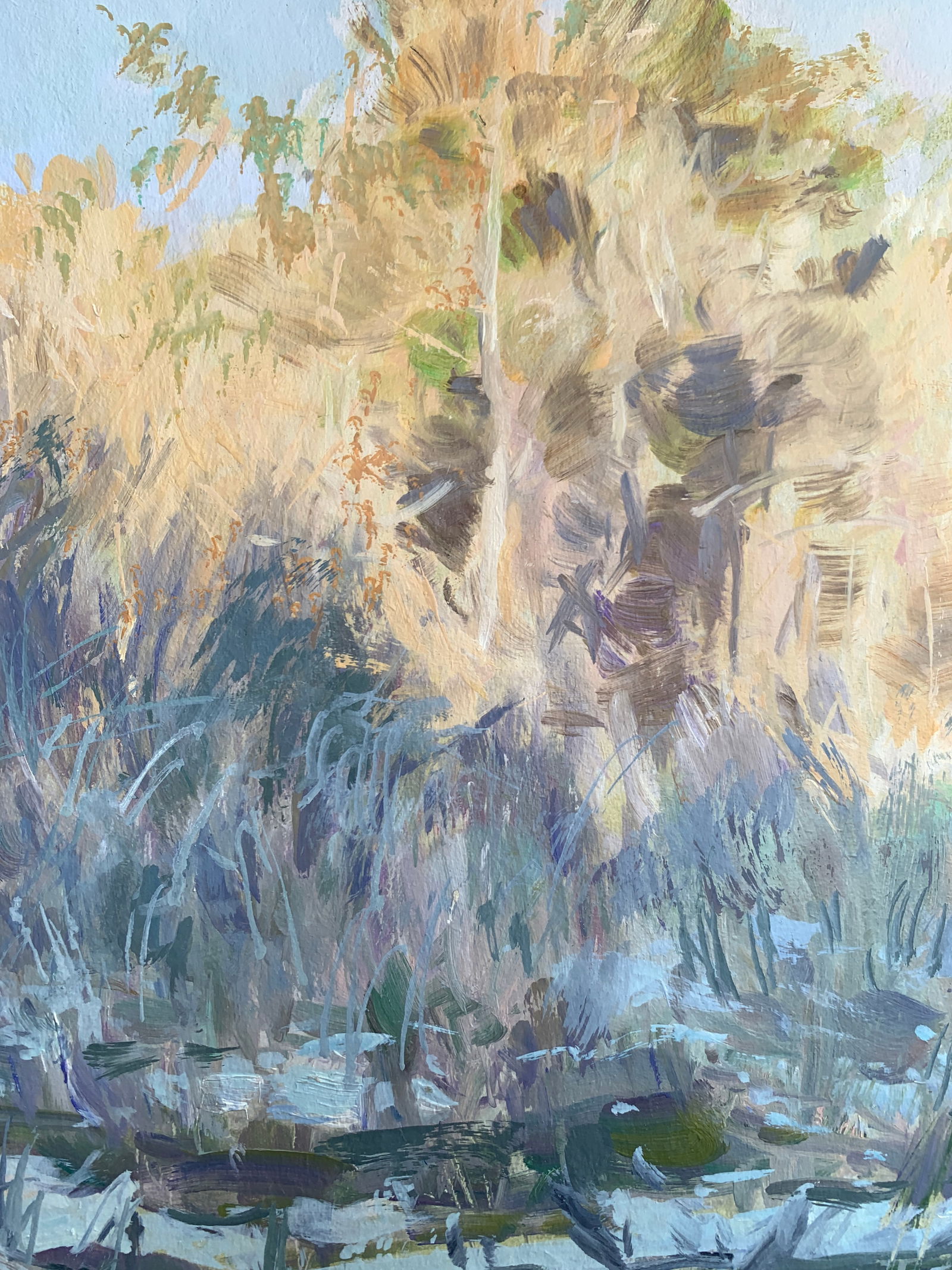 Oil painting A frosty day. Sun Oleksandr Oleksandrovich Nazarenko - 5