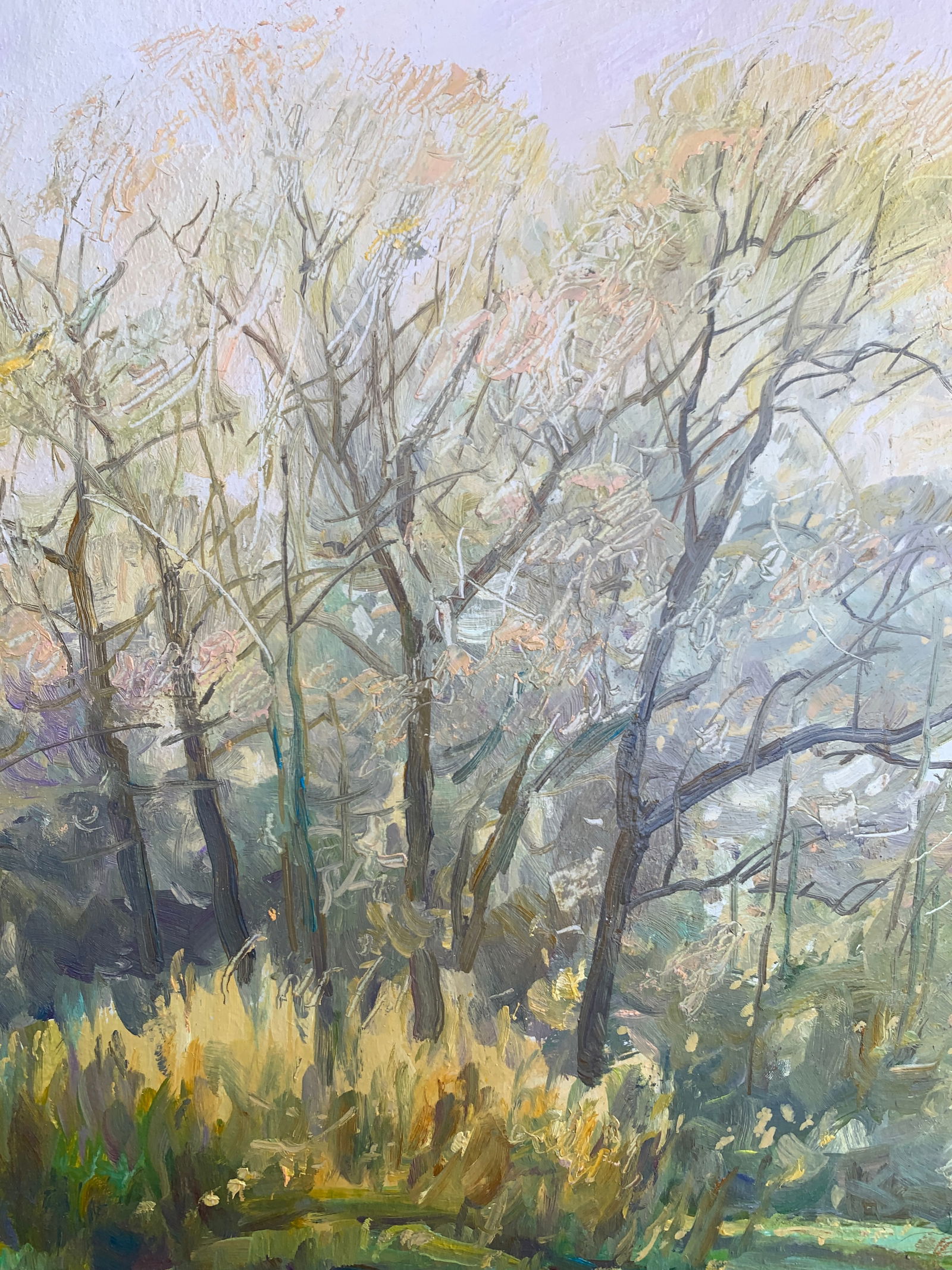 Oil painting Autumn day Oleksandr Oleksandrovich Nazarenko - 4