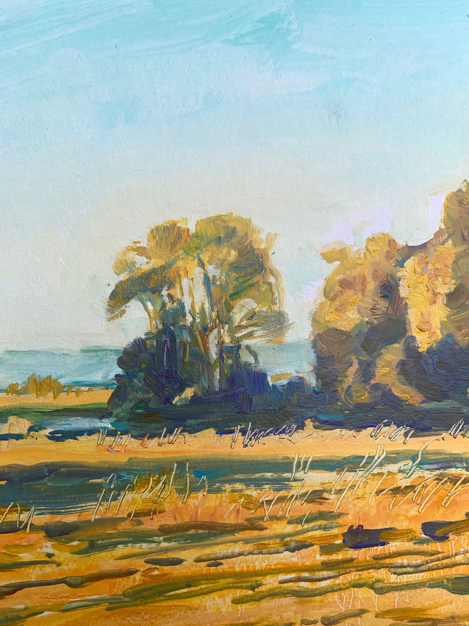 Oil painting Autumn Oleksandr Oleksandrovich Nazarenko - 7