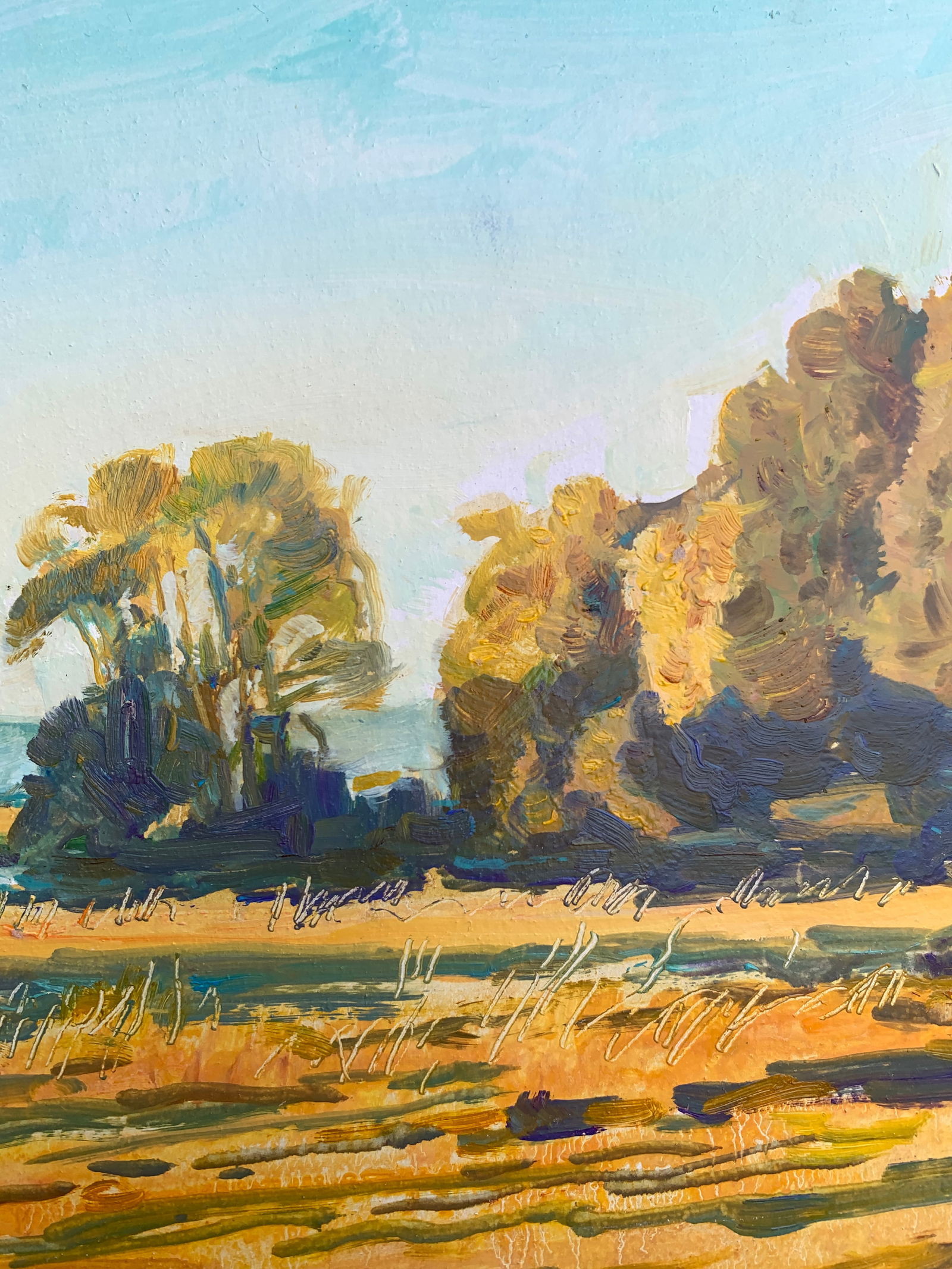 Oil painting Autumn Oleksandr Oleksandrovich Nazarenko - 8