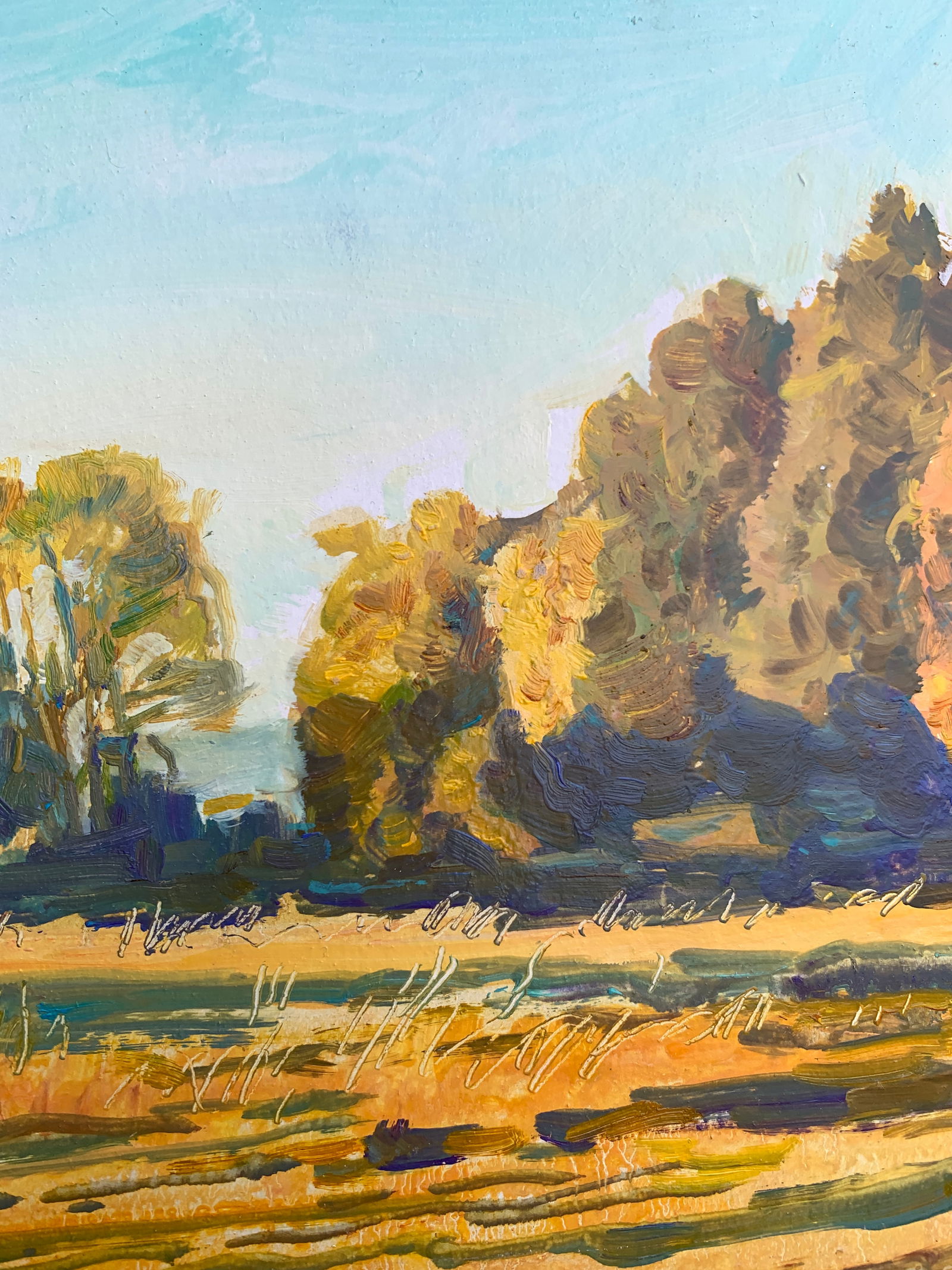 Oil painting Autumn Oleksandr Oleksandrovich Nazarenko - 9