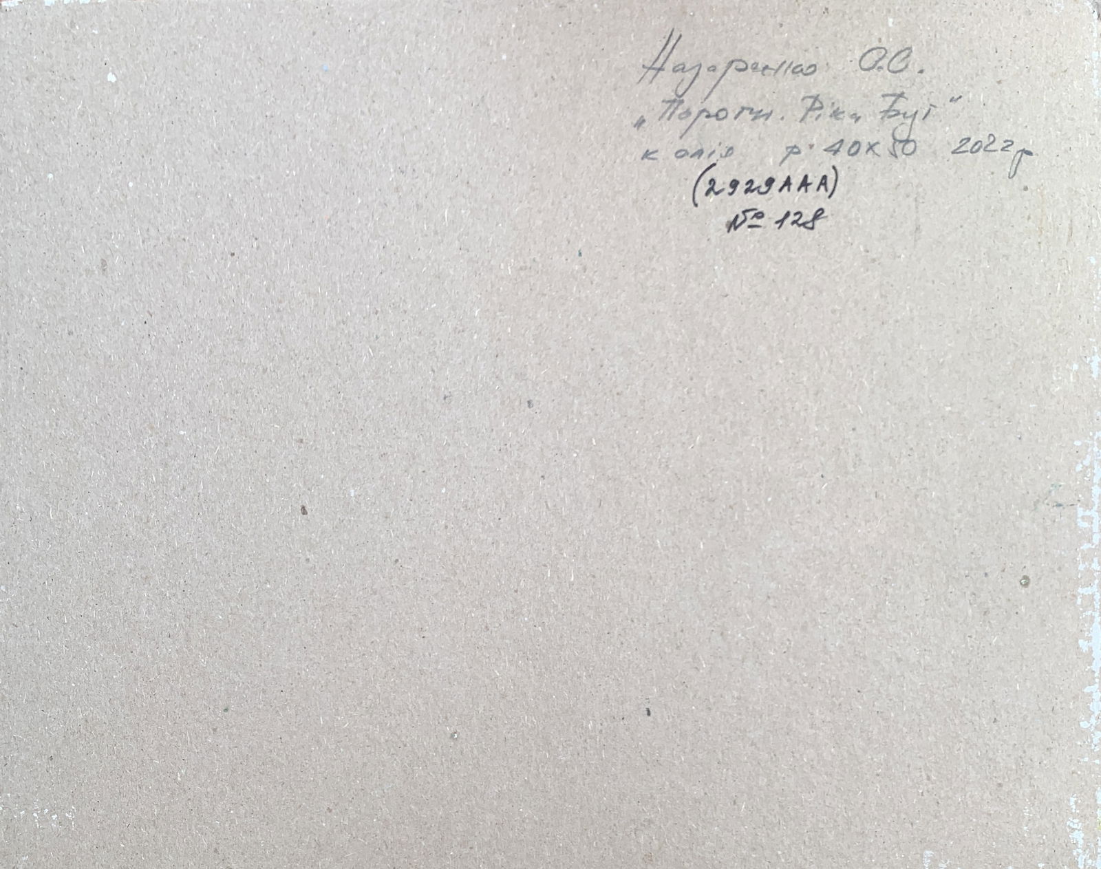 Oil painting Thresholds Bug River Oleksandr Oleksandrovich Nazarenko - 3