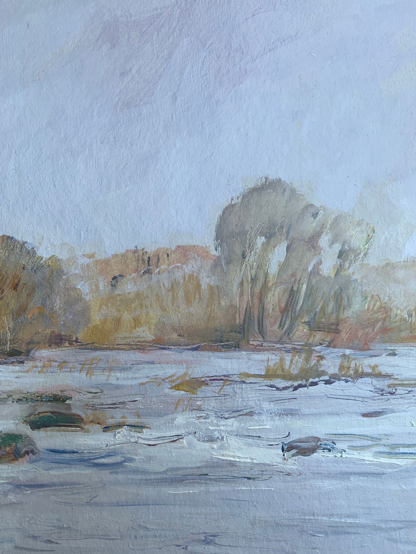 Oil painting Thresholds Bug River Oleksandr Oleksandrovich Nazarenko - 9