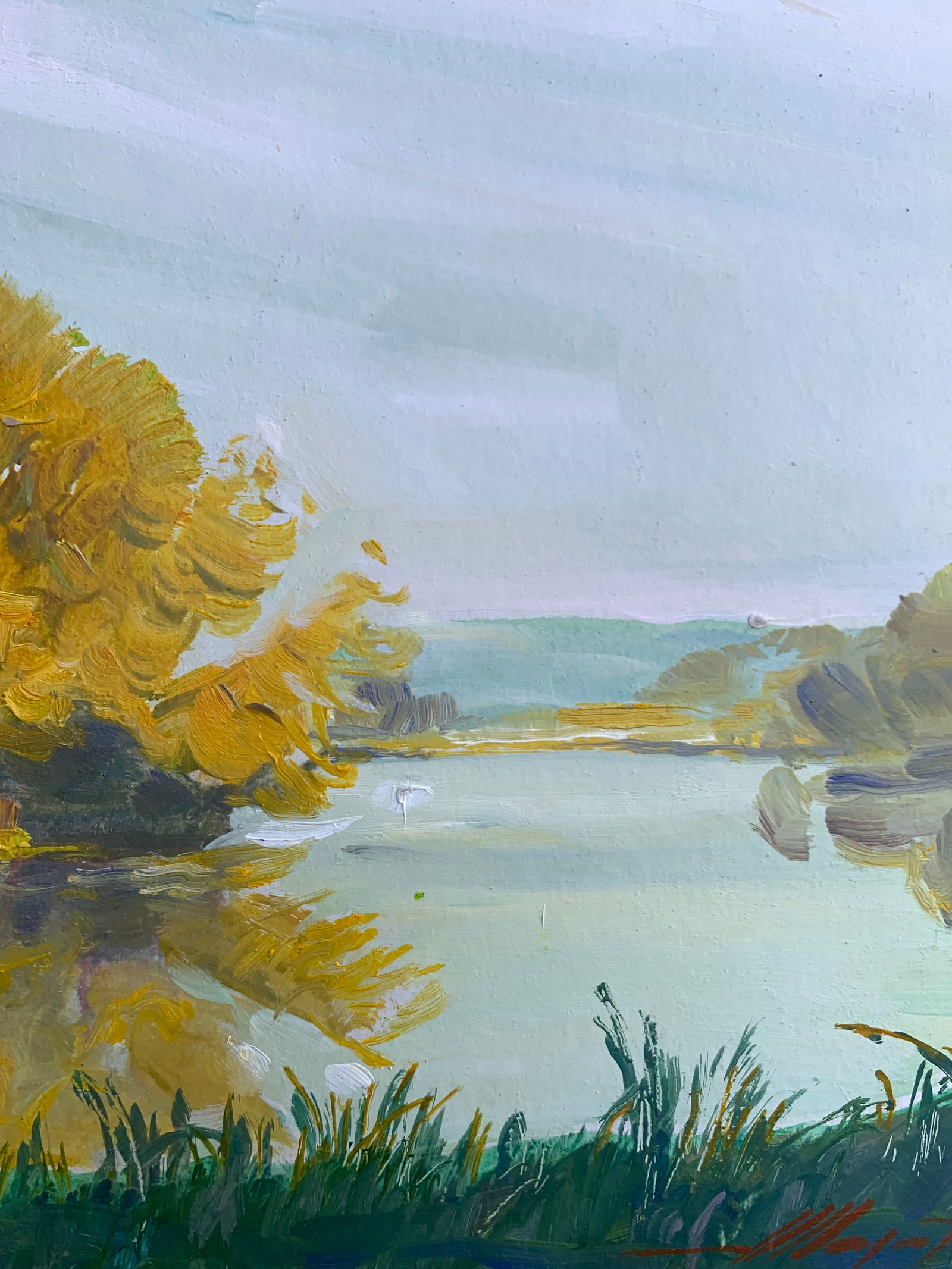 Oil painting Morning river Oleksandr Oleksandrovich Nazarenko - 10