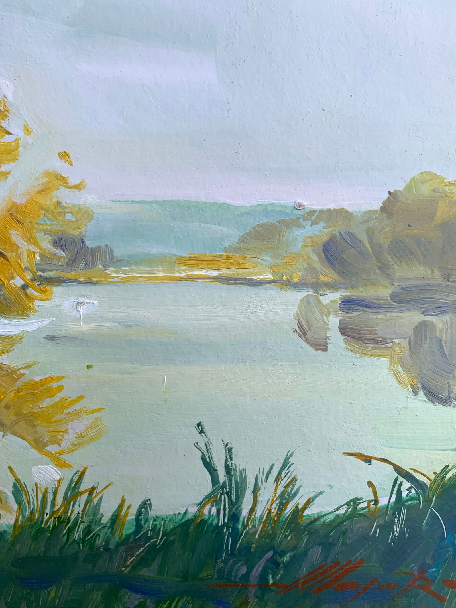 Oil painting Morning river Oleksandr Oleksandrovich Nazarenko - 11