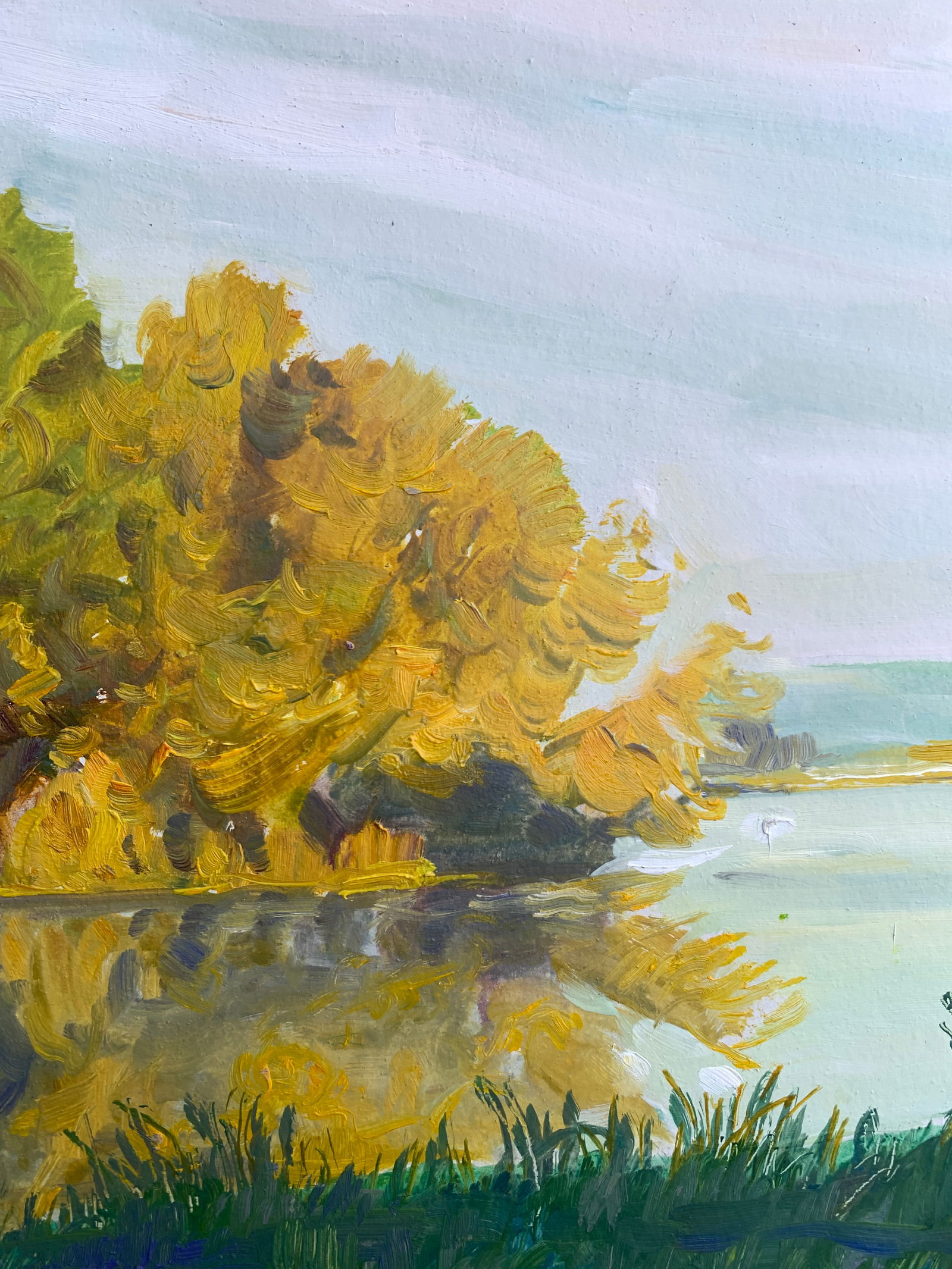 Oil painting Morning river Oleksandr Oleksandrovich Nazarenko - 6