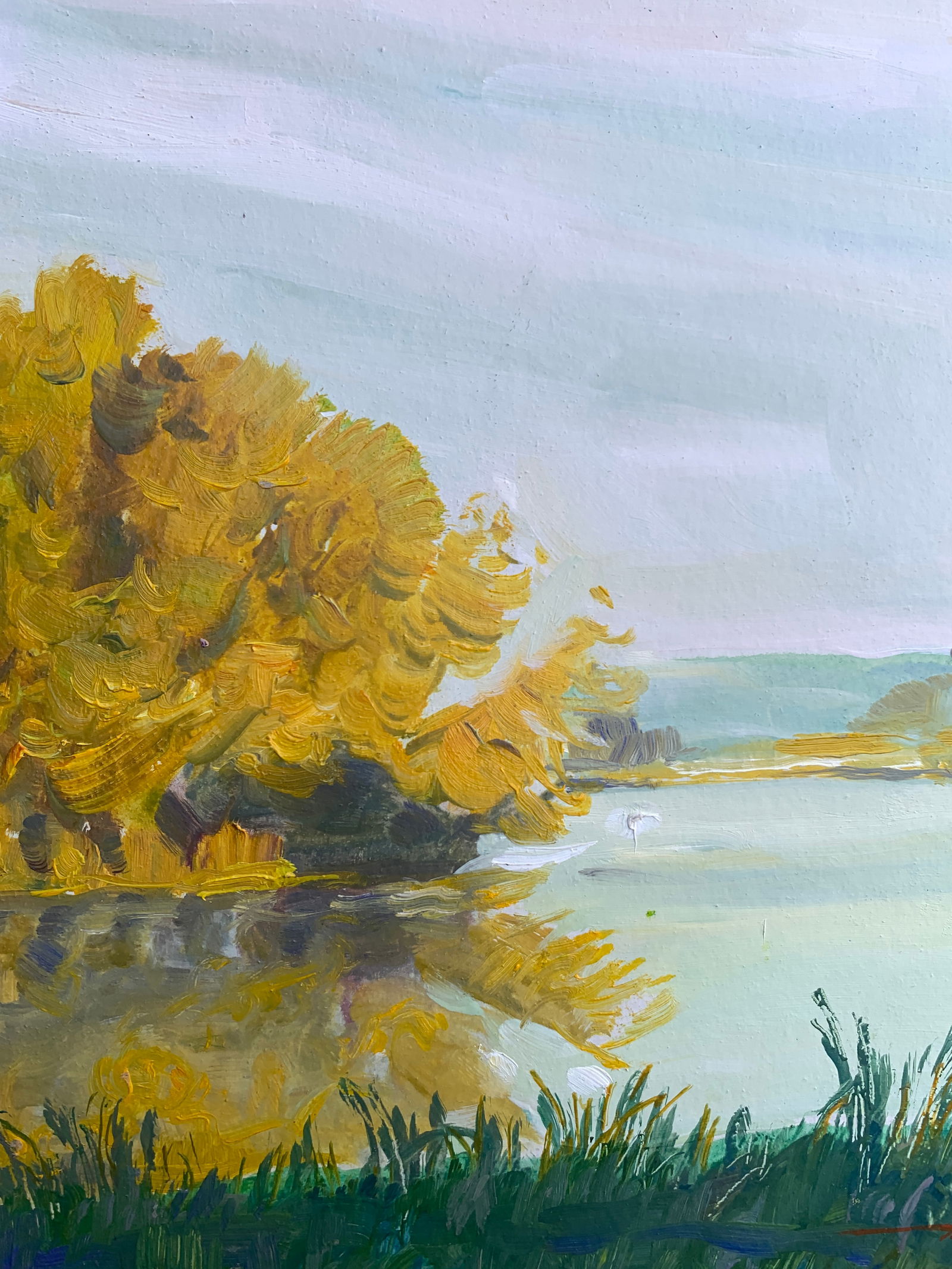 Oil painting Morning river Oleksandr Oleksandrovich Nazarenko - 7