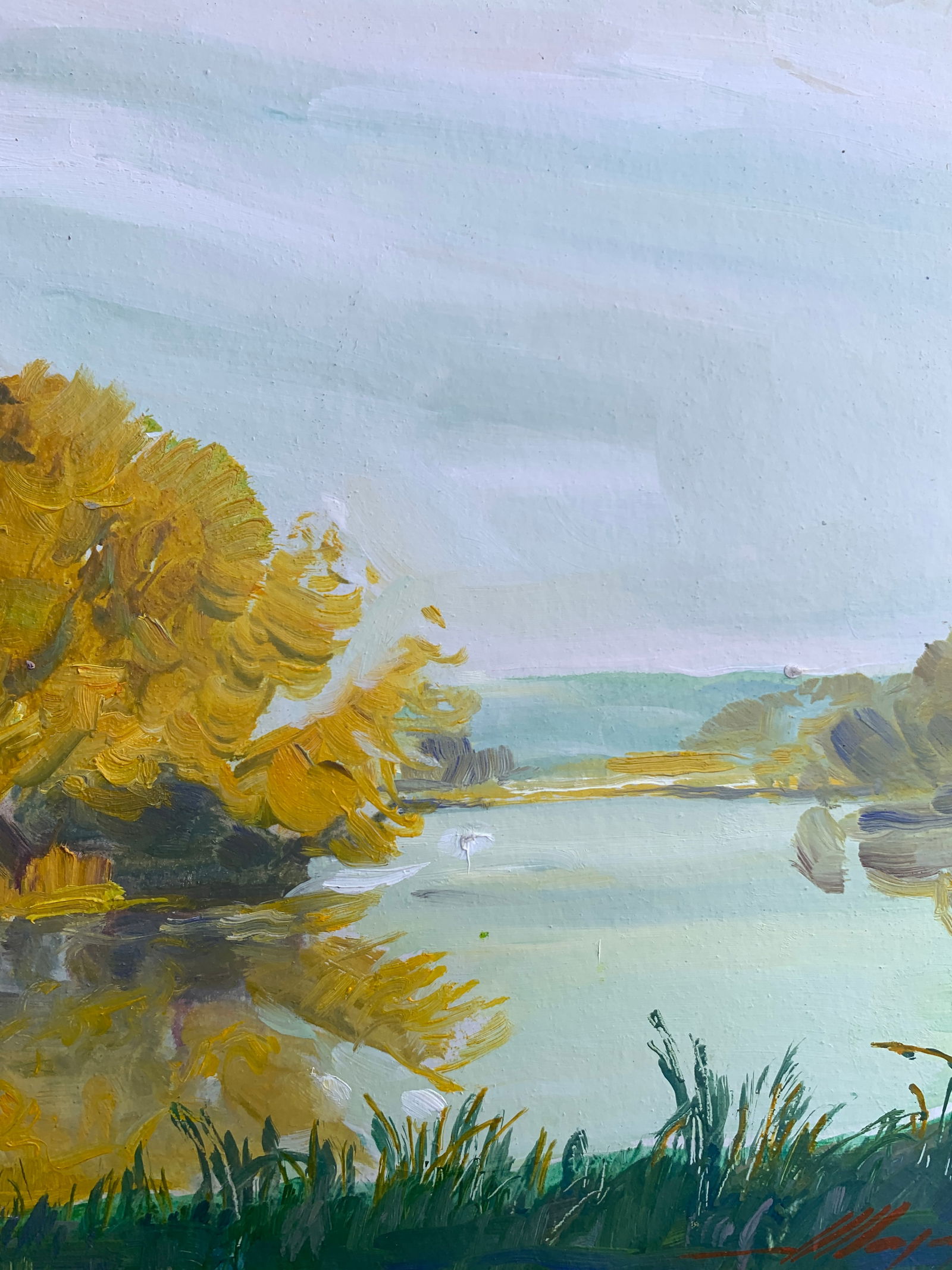 Oil painting Morning river Oleksandr Oleksandrovich Nazarenko - 8