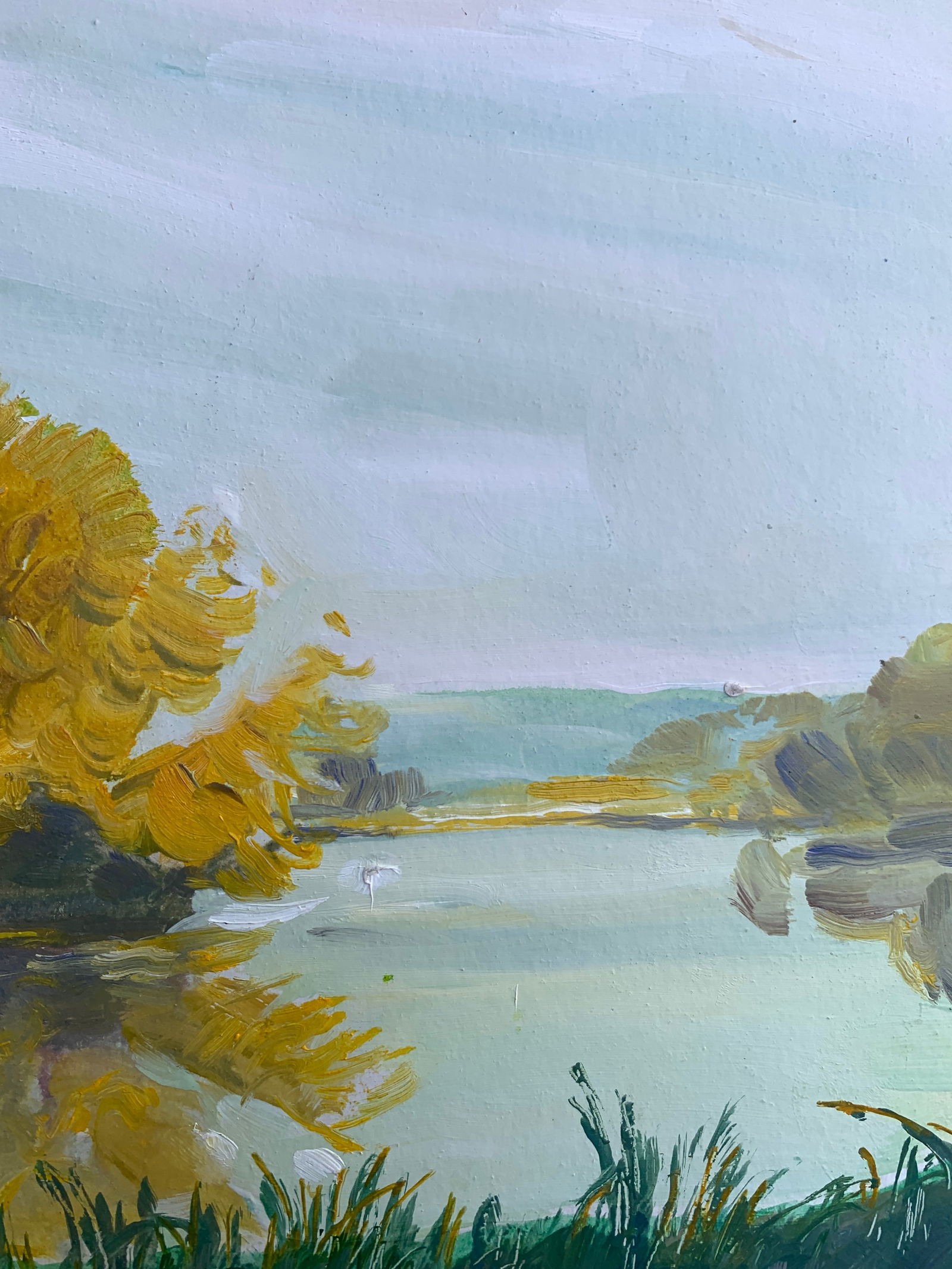 Oil painting Morning river Oleksandr Oleksandrovich Nazarenko - 9