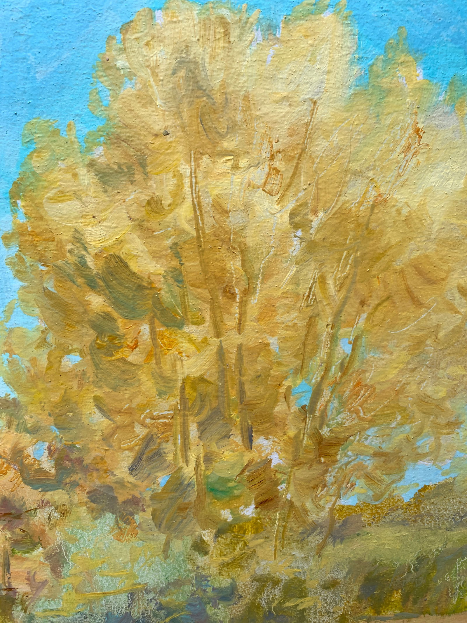 Oil painting A warm day Oleksandr Oleksandrovich Nazarenko - 4