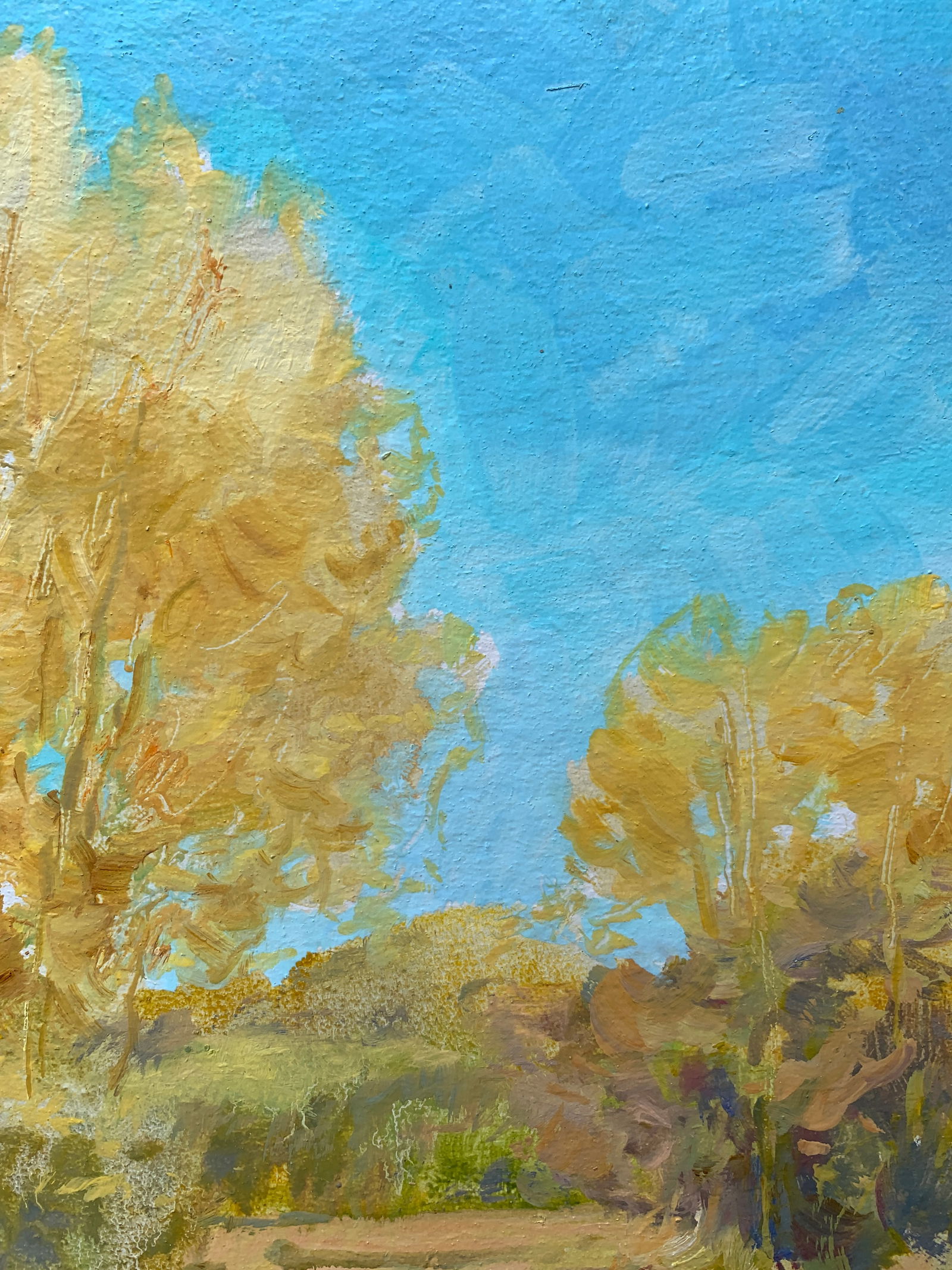 Oil painting A warm day Oleksandr Oleksandrovich Nazarenko - 6