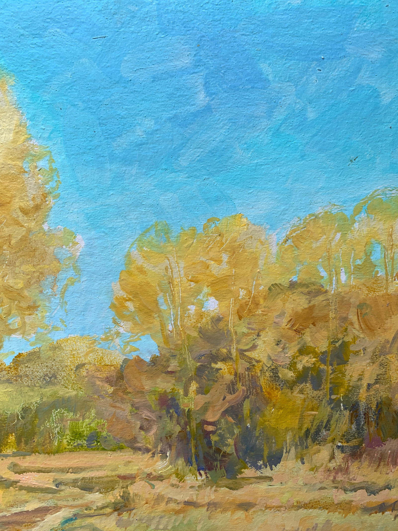 Oil painting A warm day Oleksandr Oleksandrovich Nazarenko - 8