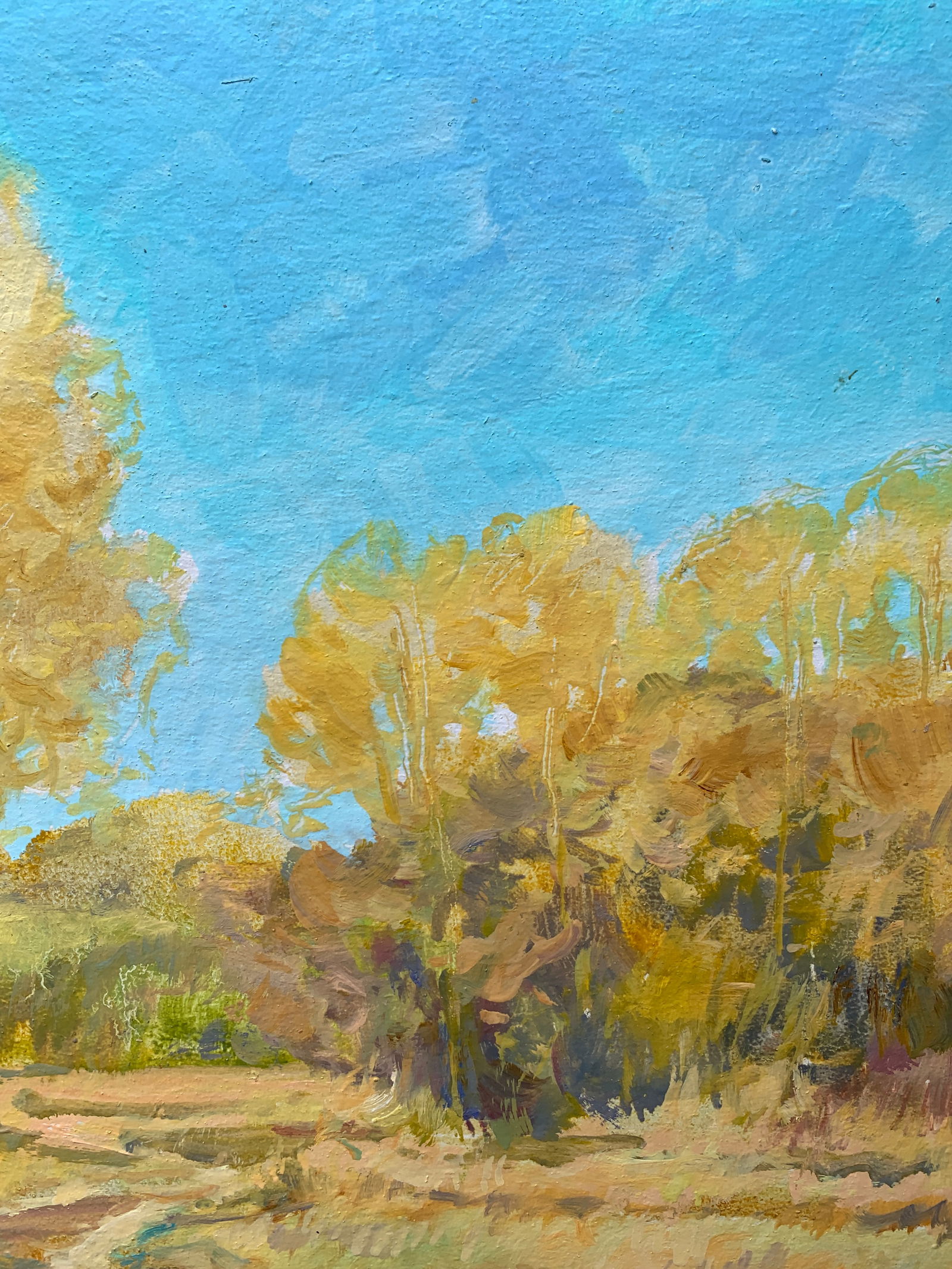 Oil painting A warm day Oleksandr Oleksandrovich Nazarenko - 9