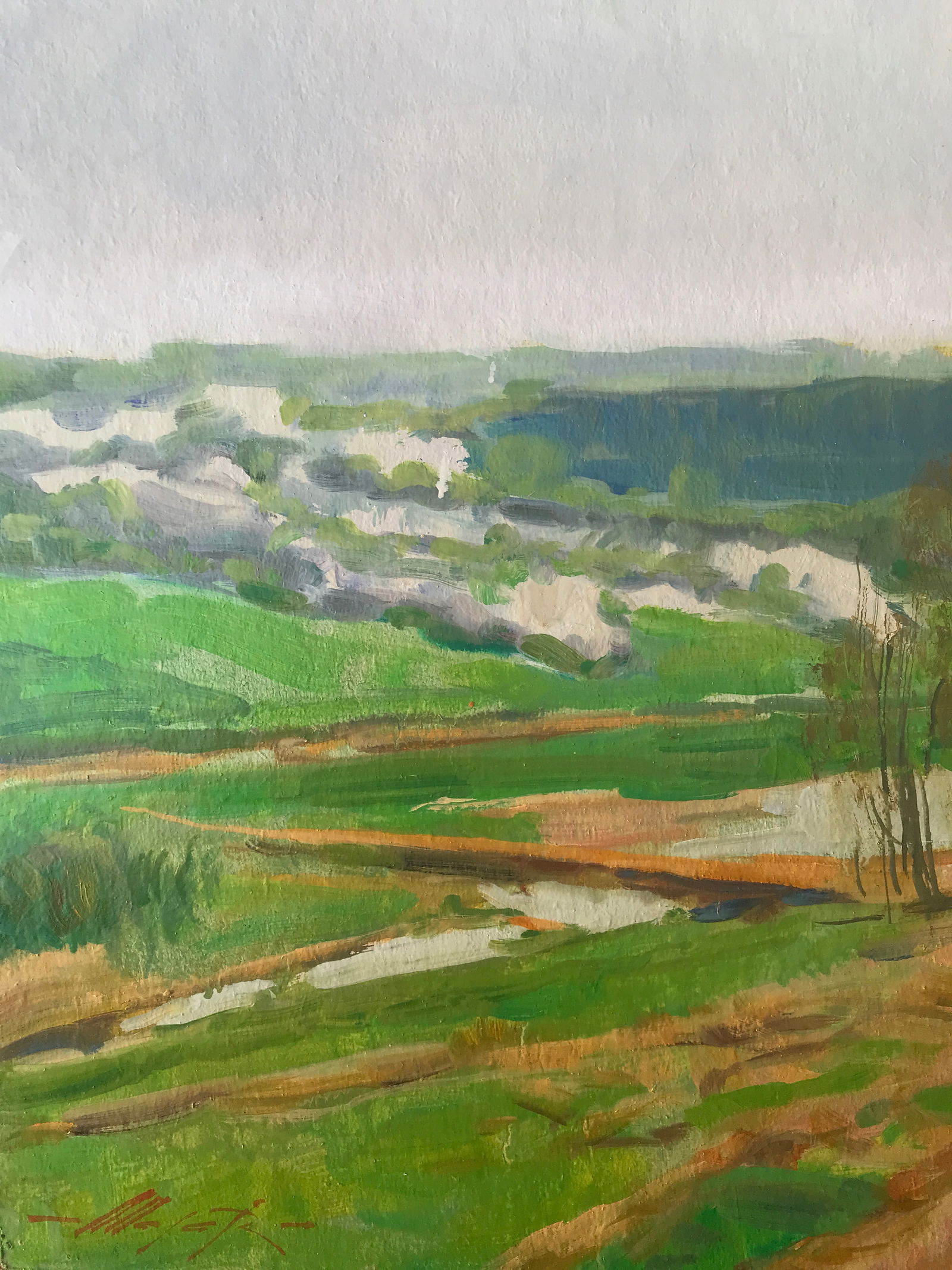 Oil painting May Oleksandr Oleksandrovich Nazarenko - 5