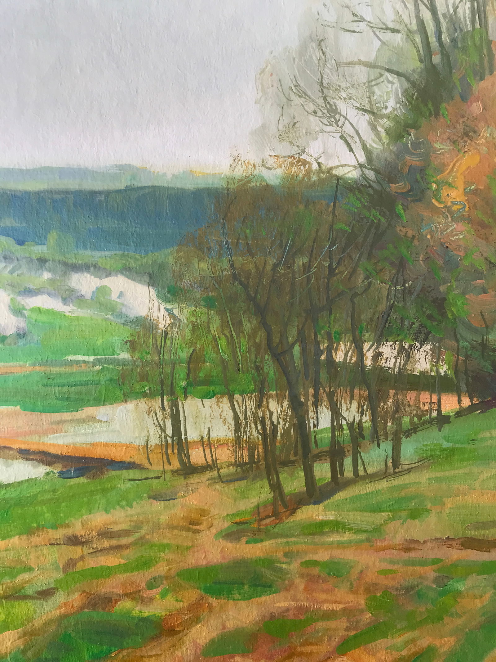 Oil painting May Oleksandr Oleksandrovich Nazarenko - 7